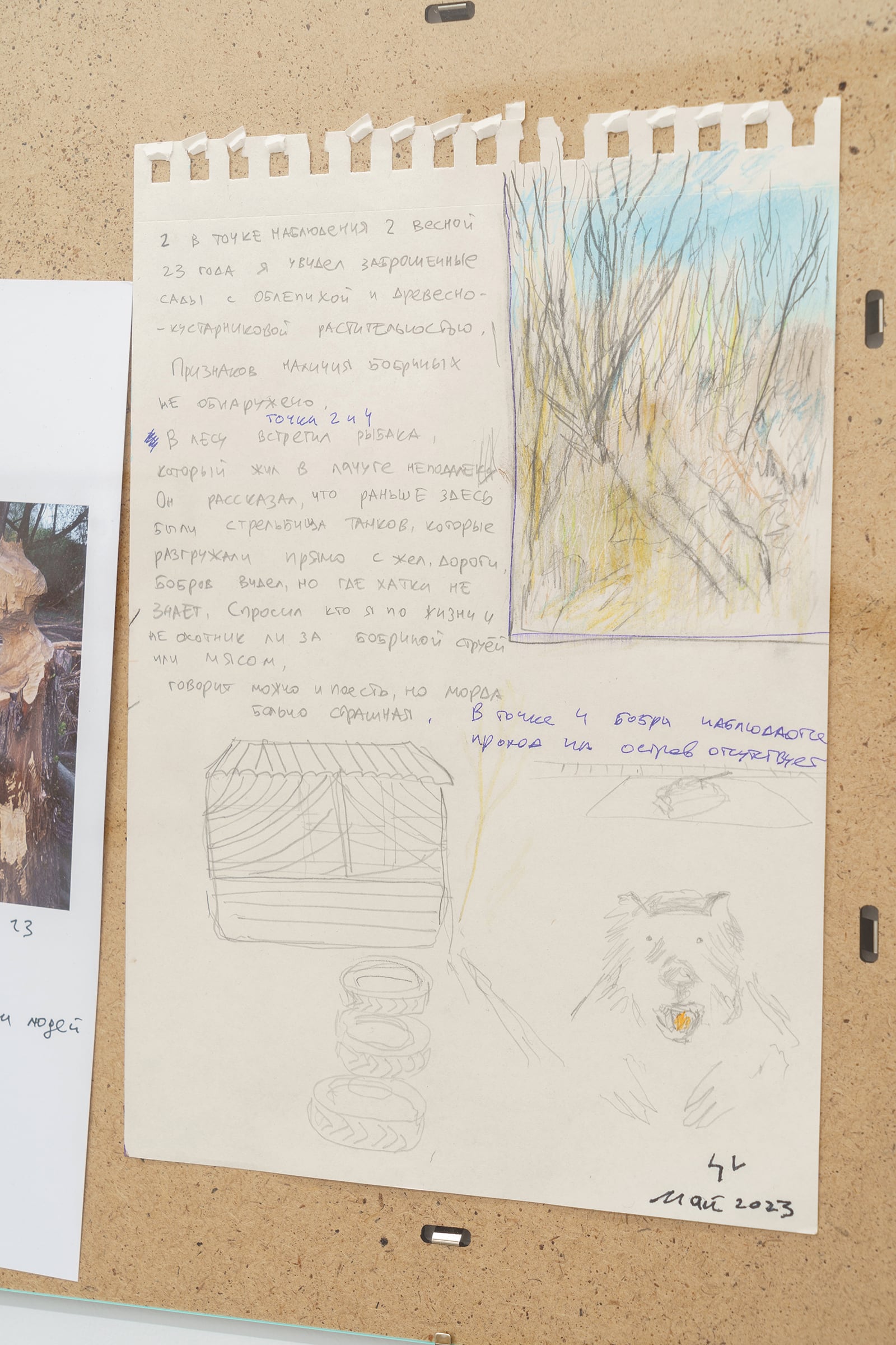 article image; primary-color: #D3C7B7;