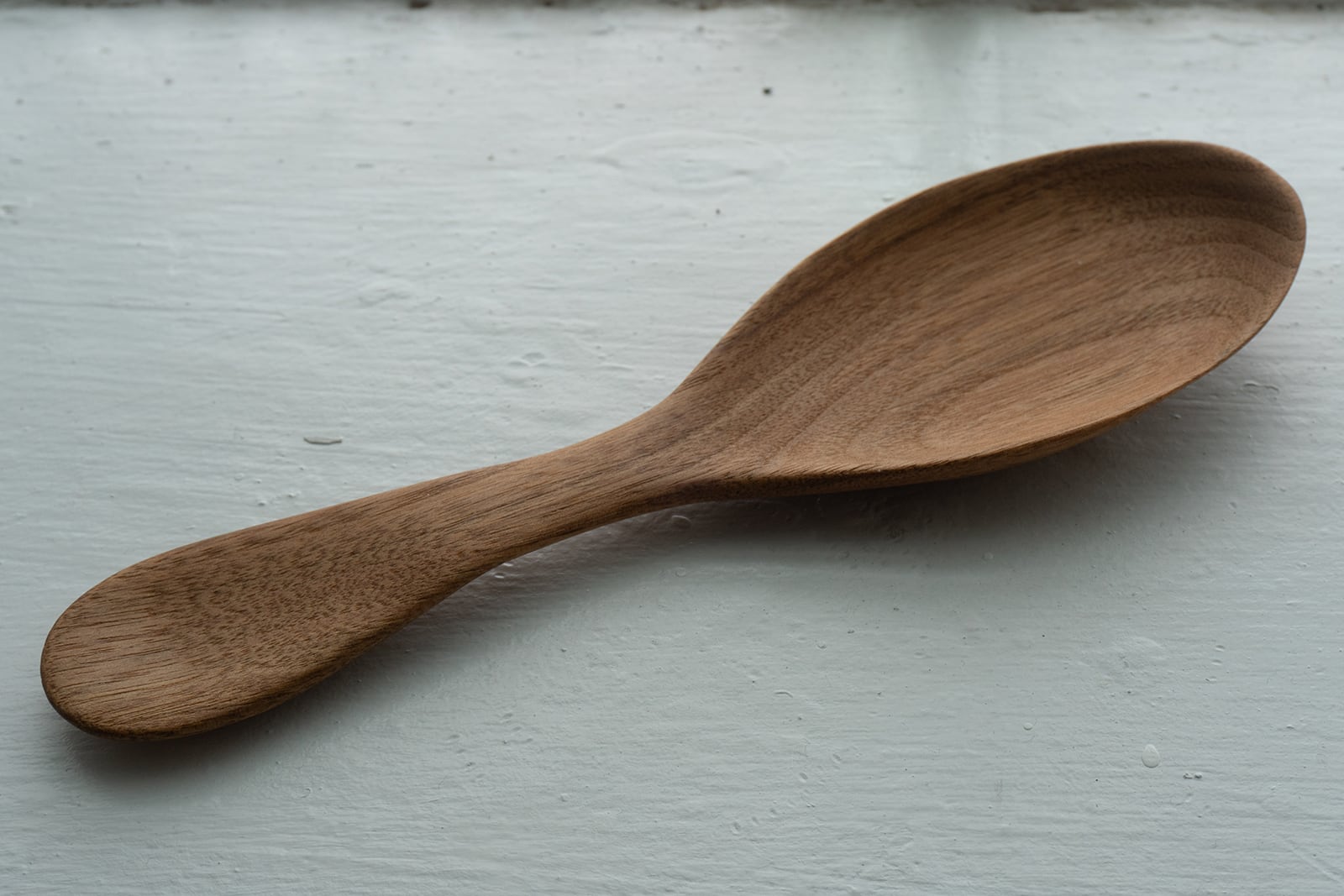 article image; primary-color: #979890;