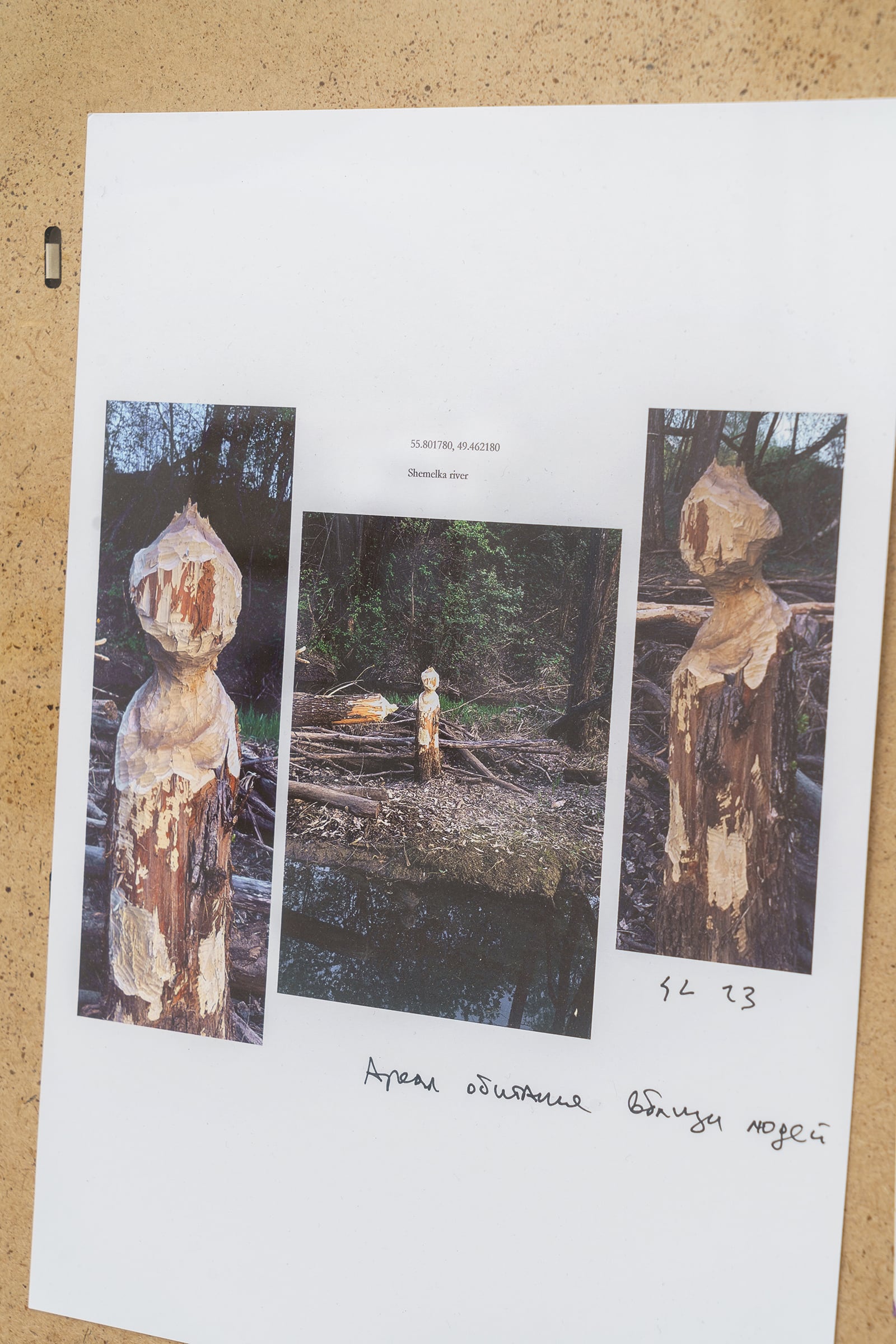 article image; primary-color: #B8B1AB;