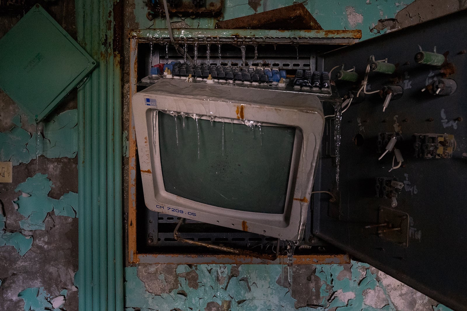 article image; primary-color: #30312C;