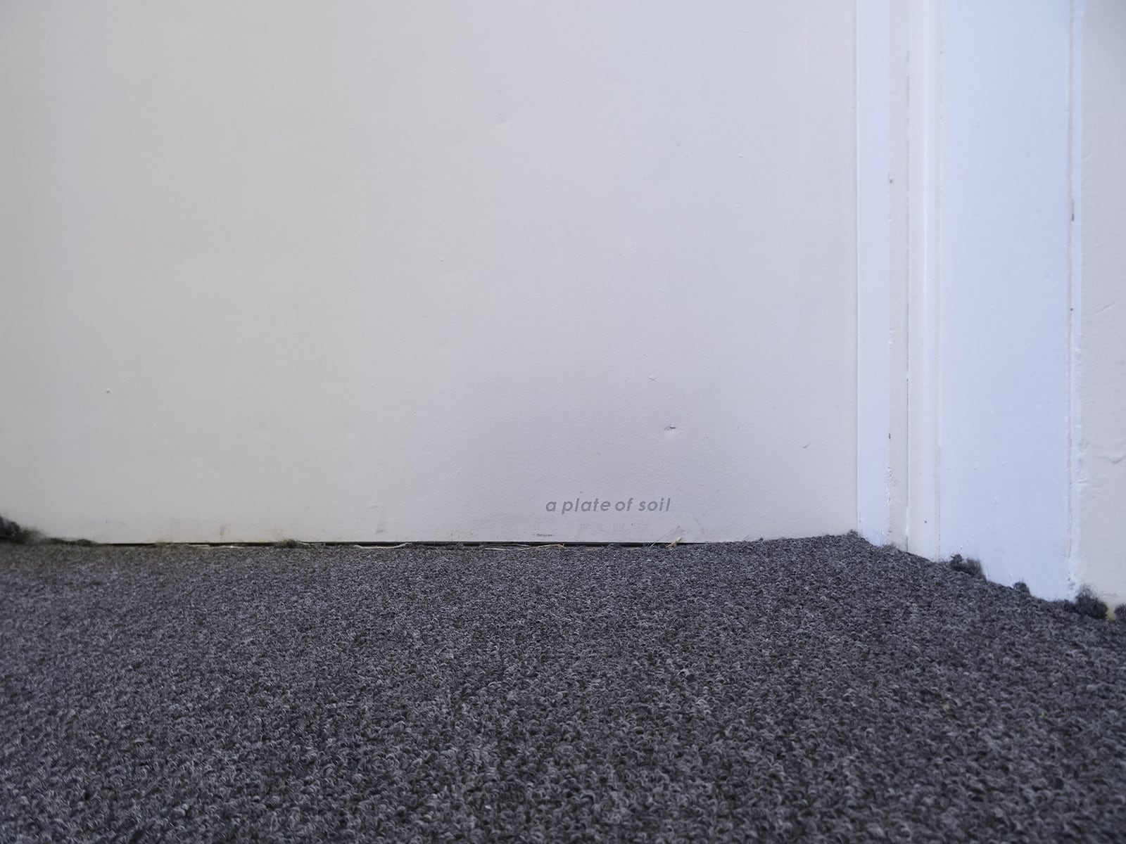 article image; primary-color: #9598A1;