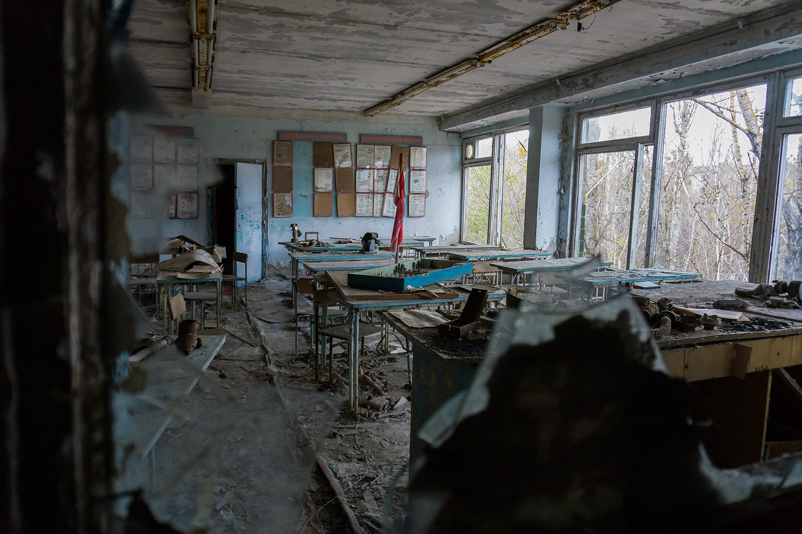 article image; primary-color: #3F443E;