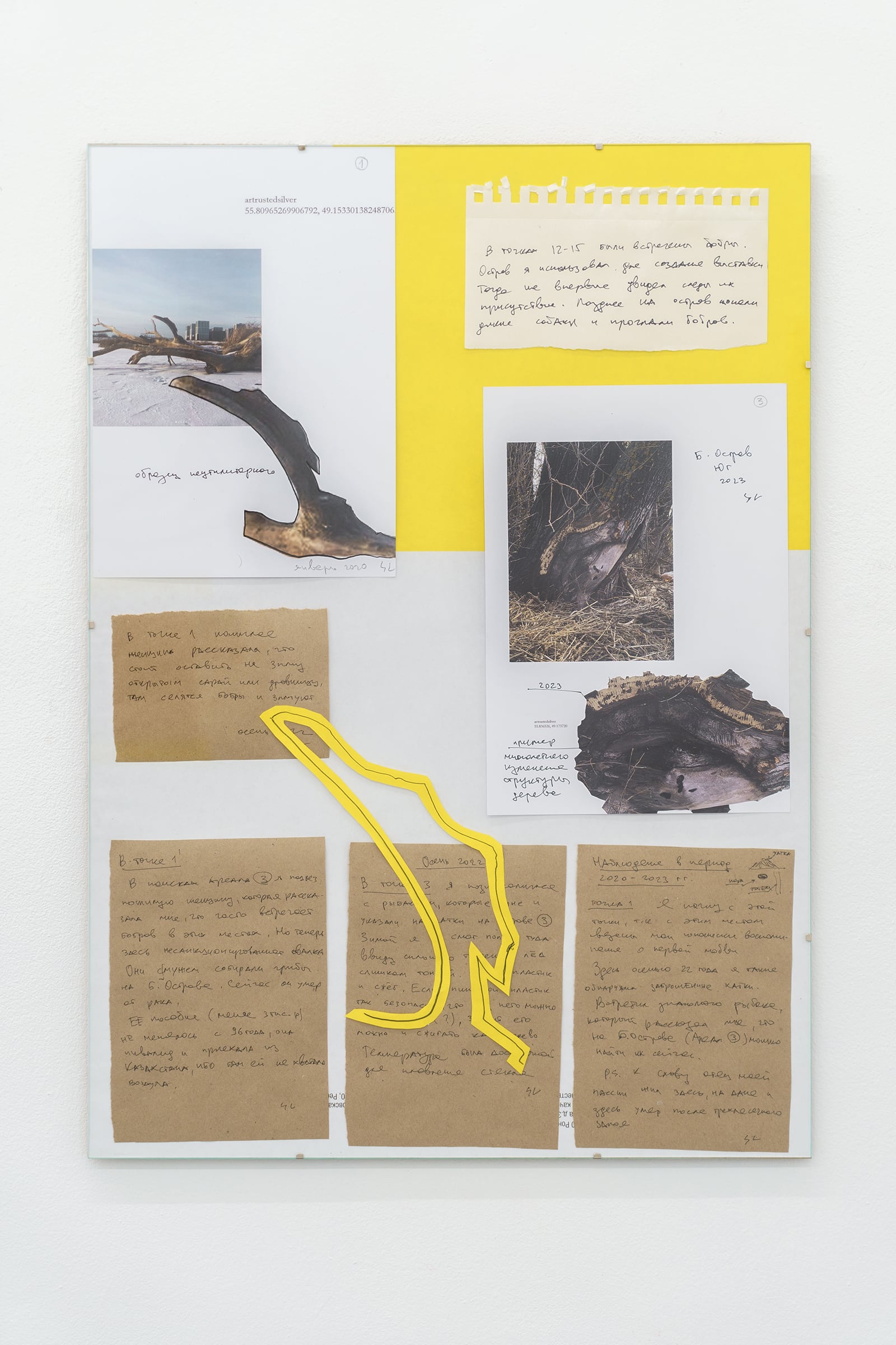 article image; primary-color: #D1CBBB;