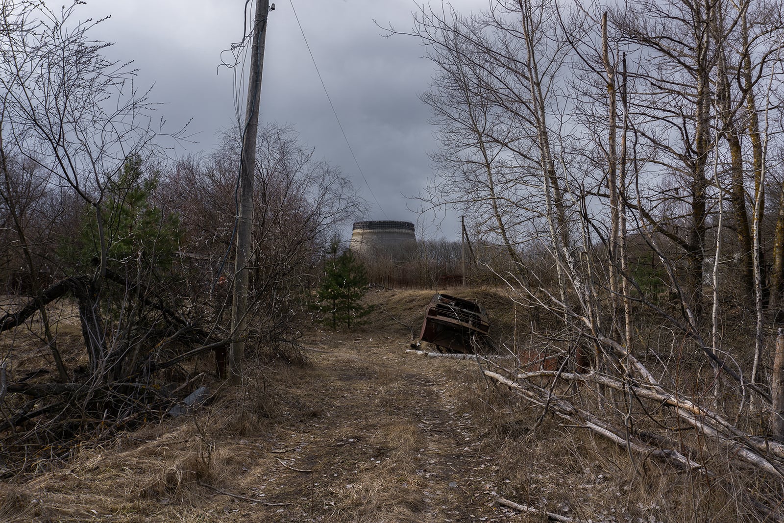 article image; primary-color: #5E5A5B;