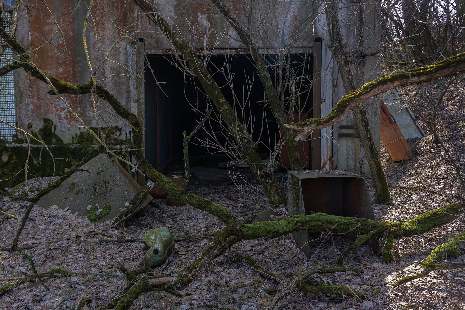 article image; primary-color: #3B3734;