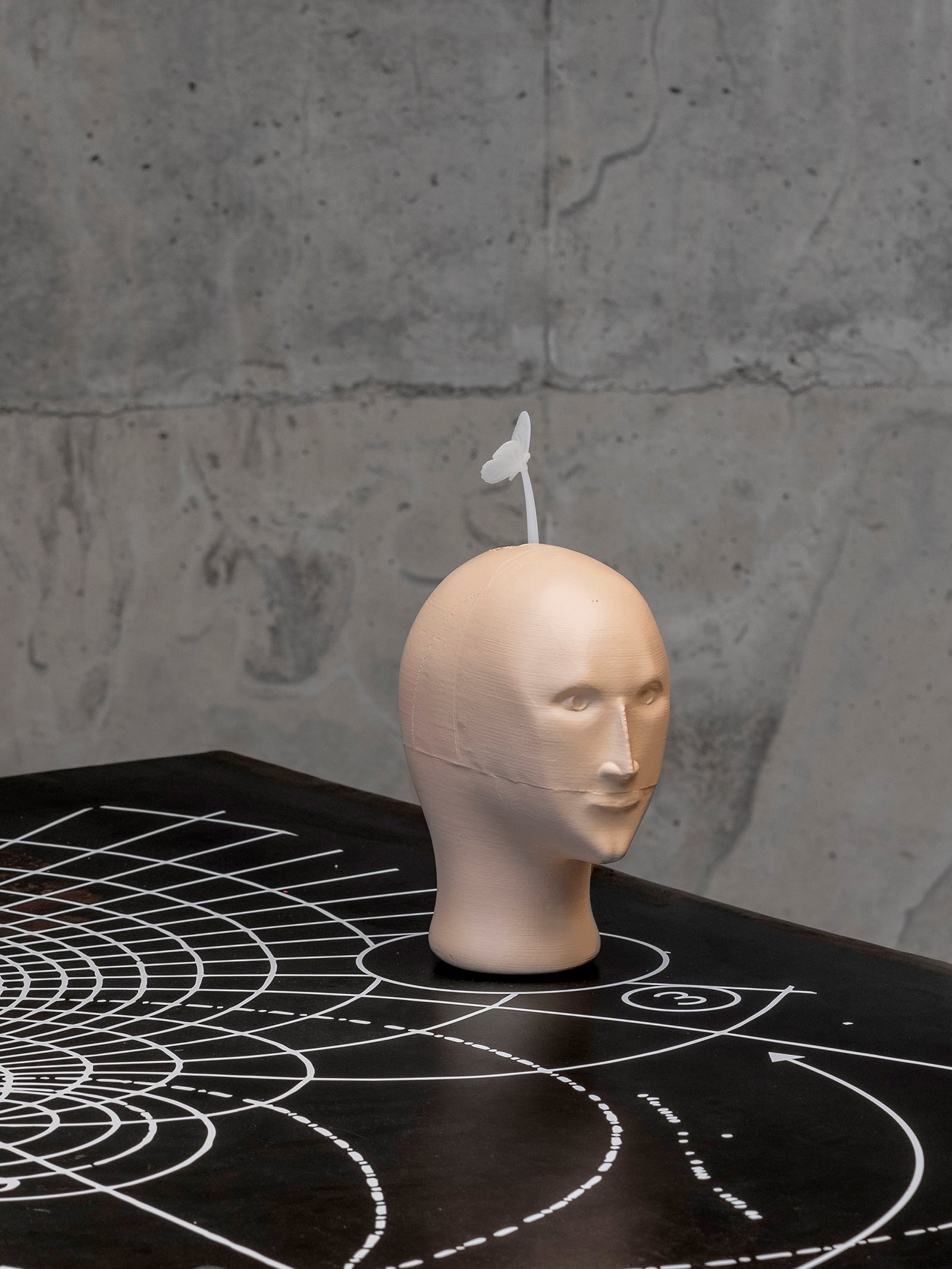 article image; primary-color: #615D5A;