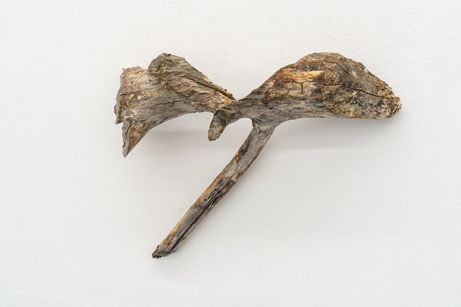 article image; primary-color: #DBD8D1;