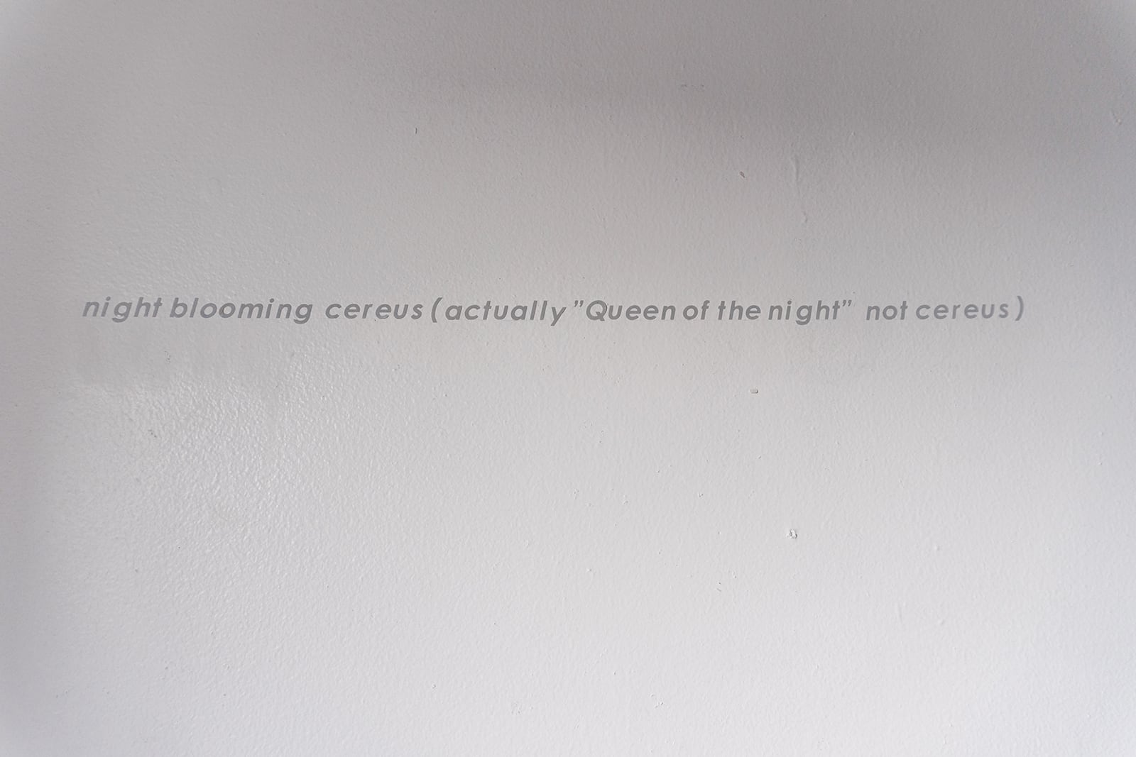 article image; primary-color: #C1BDBE;