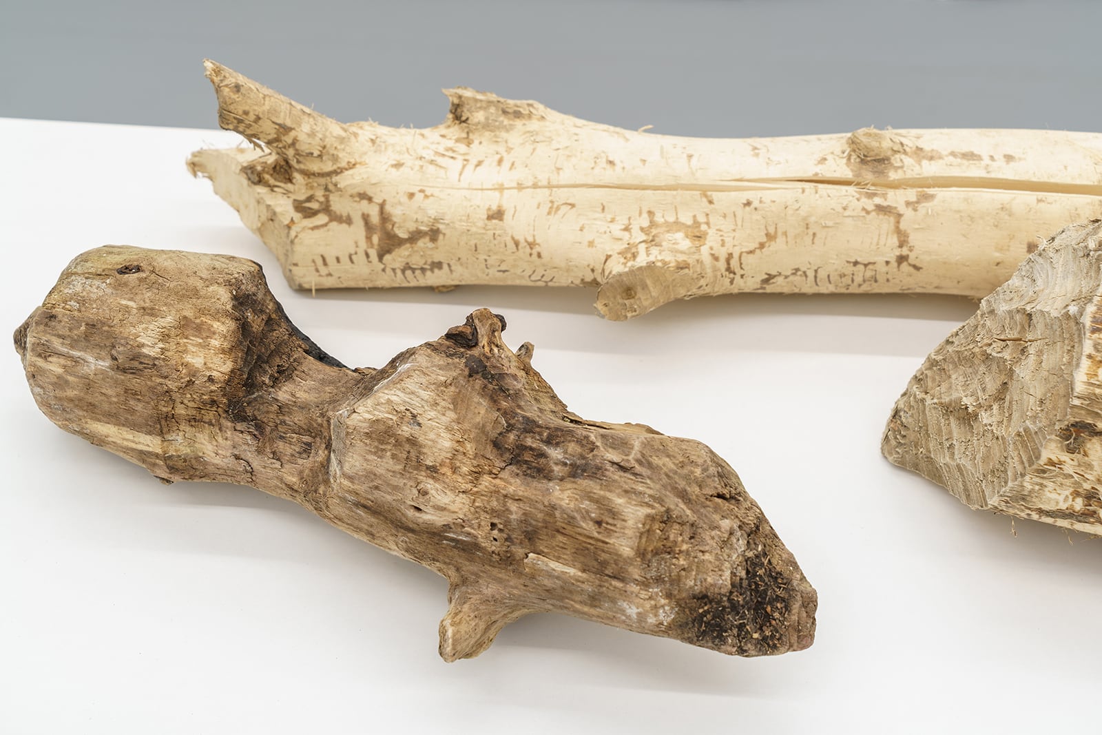 article image; primary-color: #C6BAAA;