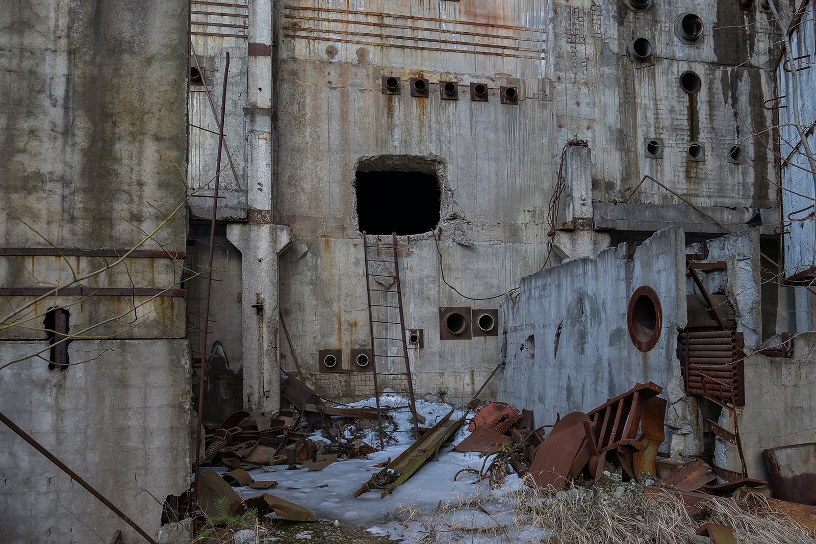 article image; primary-color: #595959;