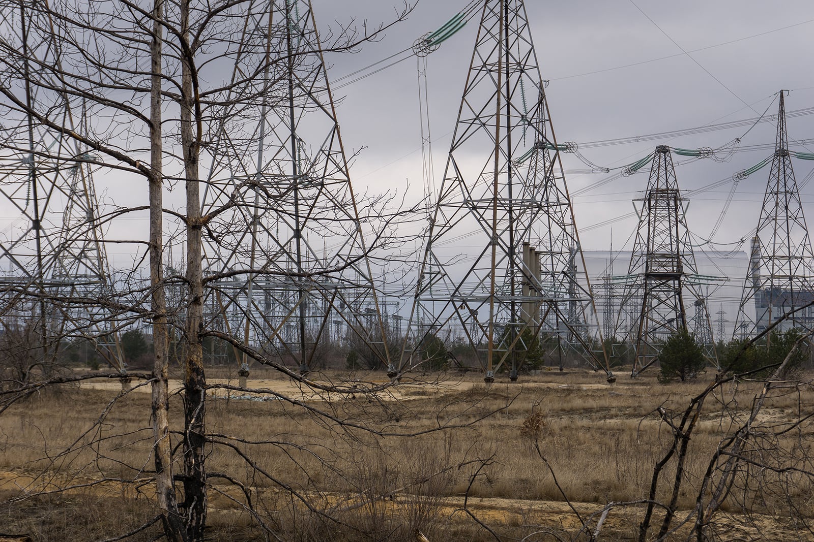 article image; primary-color: #7B7371;