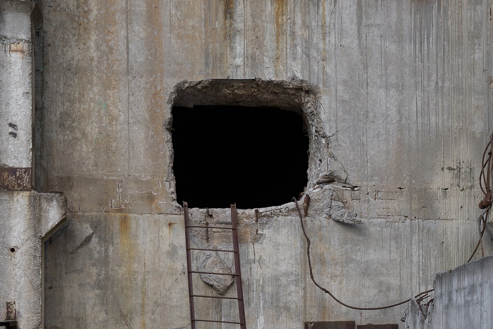 article image; primary-color: #74716A;