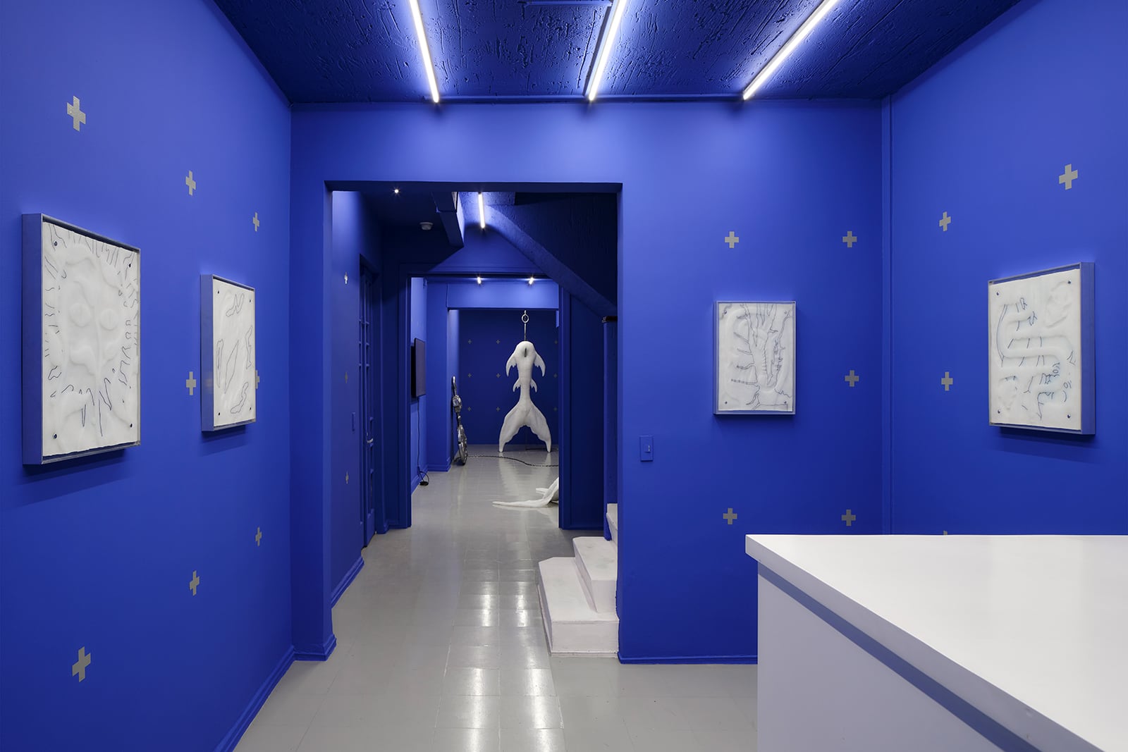 article image; primary-color: #50599C;