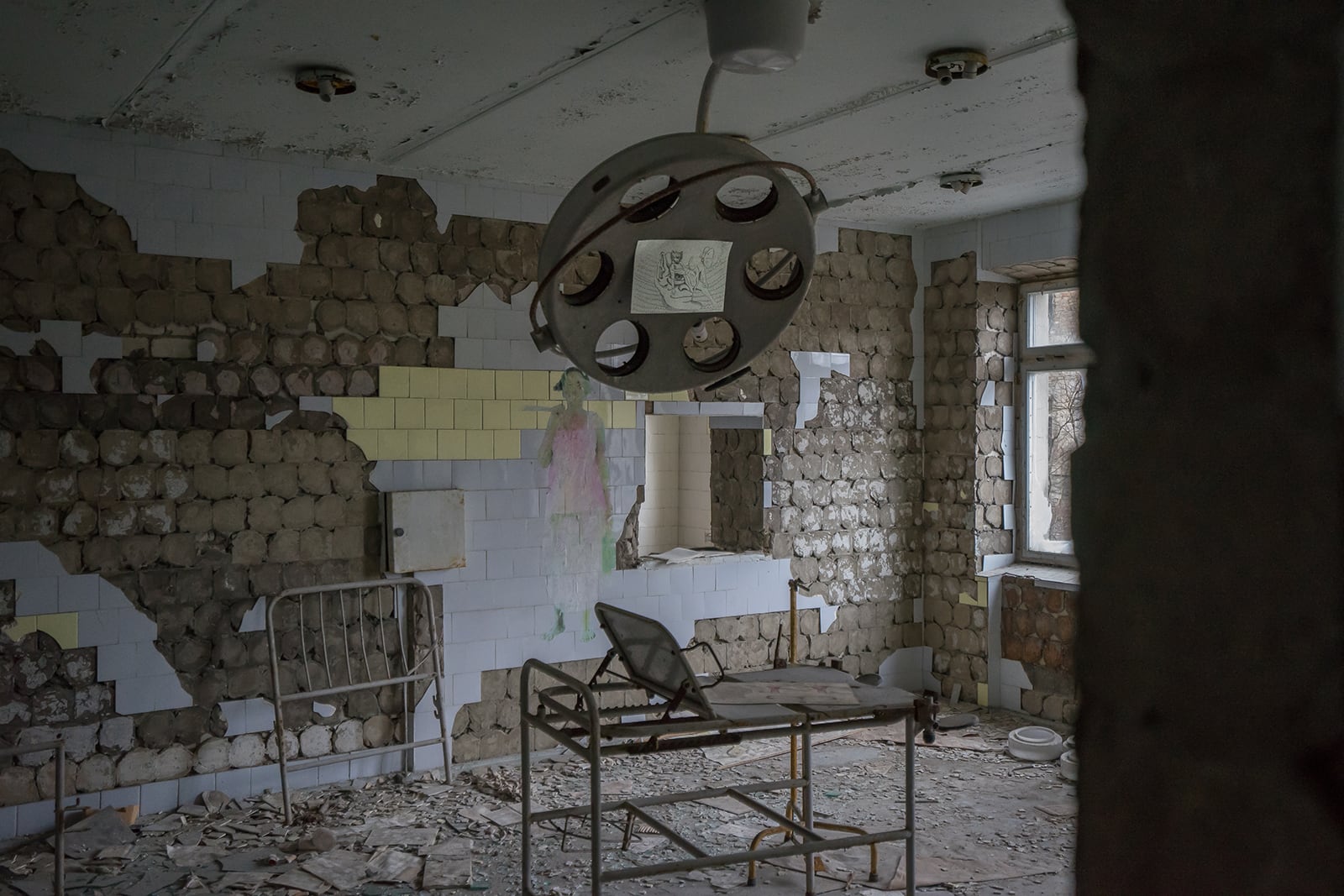 article image; primary-color: #45413E;