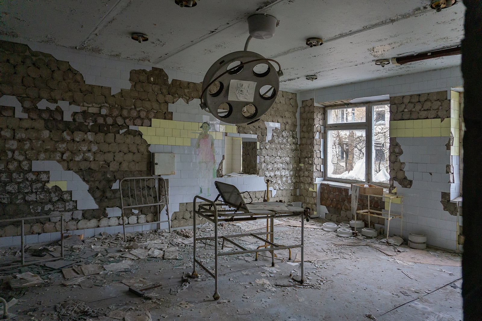 article image; primary-color: #565752;