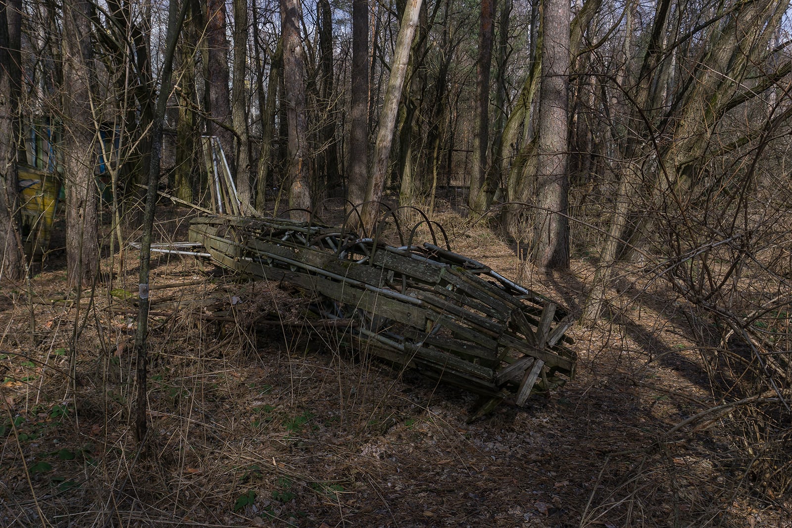 article image; primary-color: #3E372F;