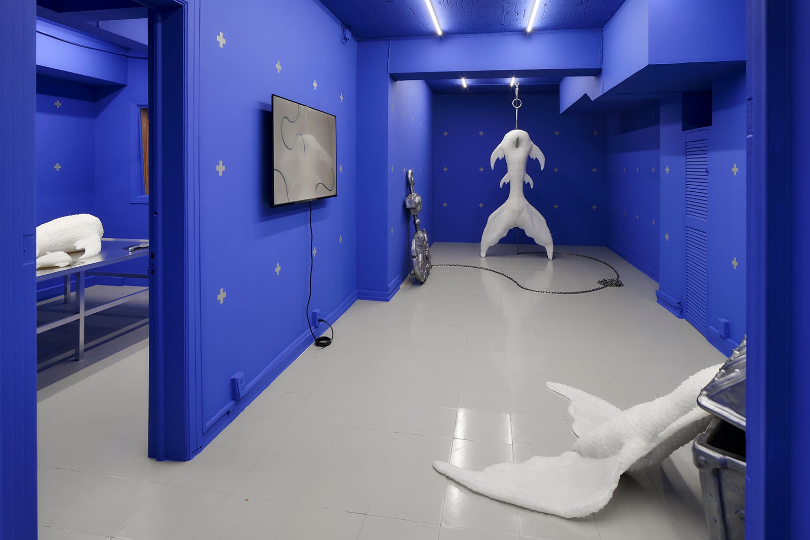 article image; primary-color: #596398;