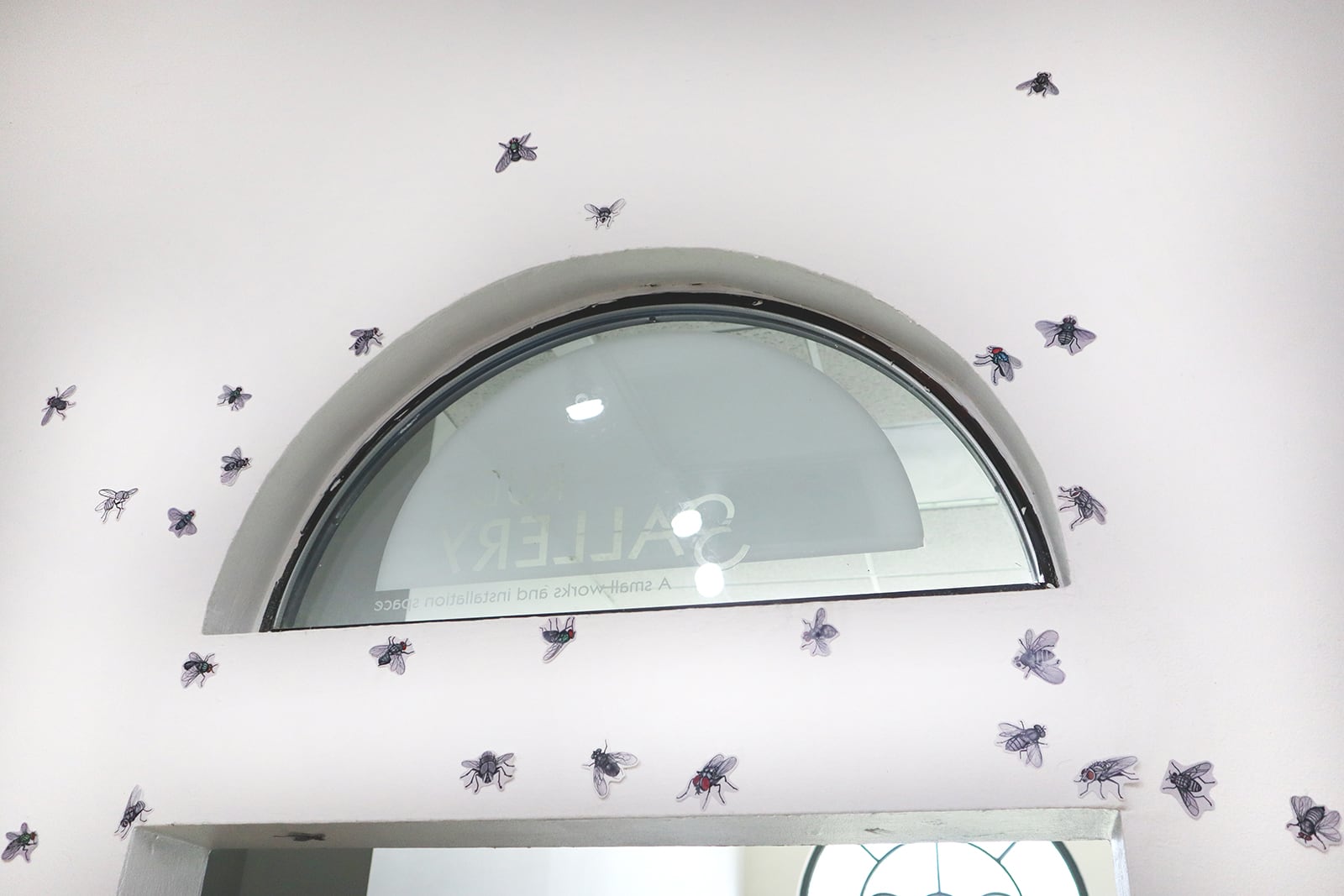 article image; primary-color: #D1D1D1;