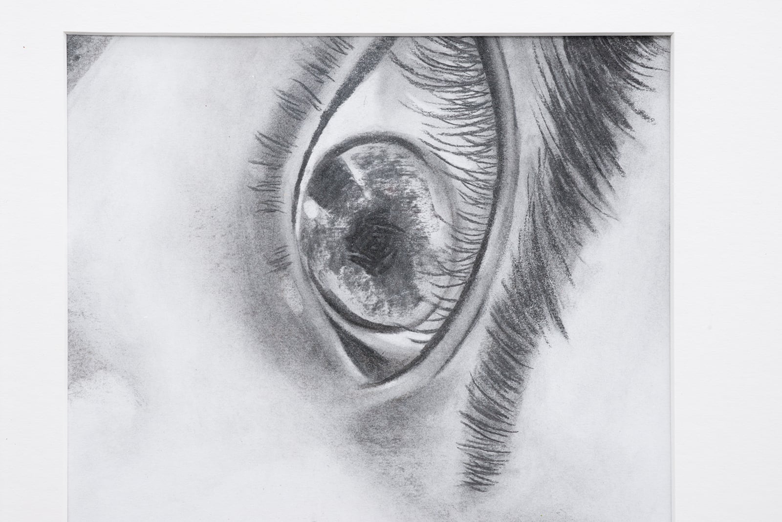 article image; primary-color: #C8CCCF;