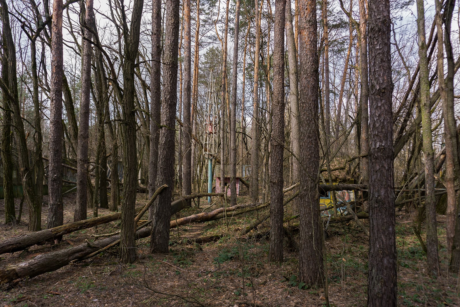 article image; primary-color: #564D46;