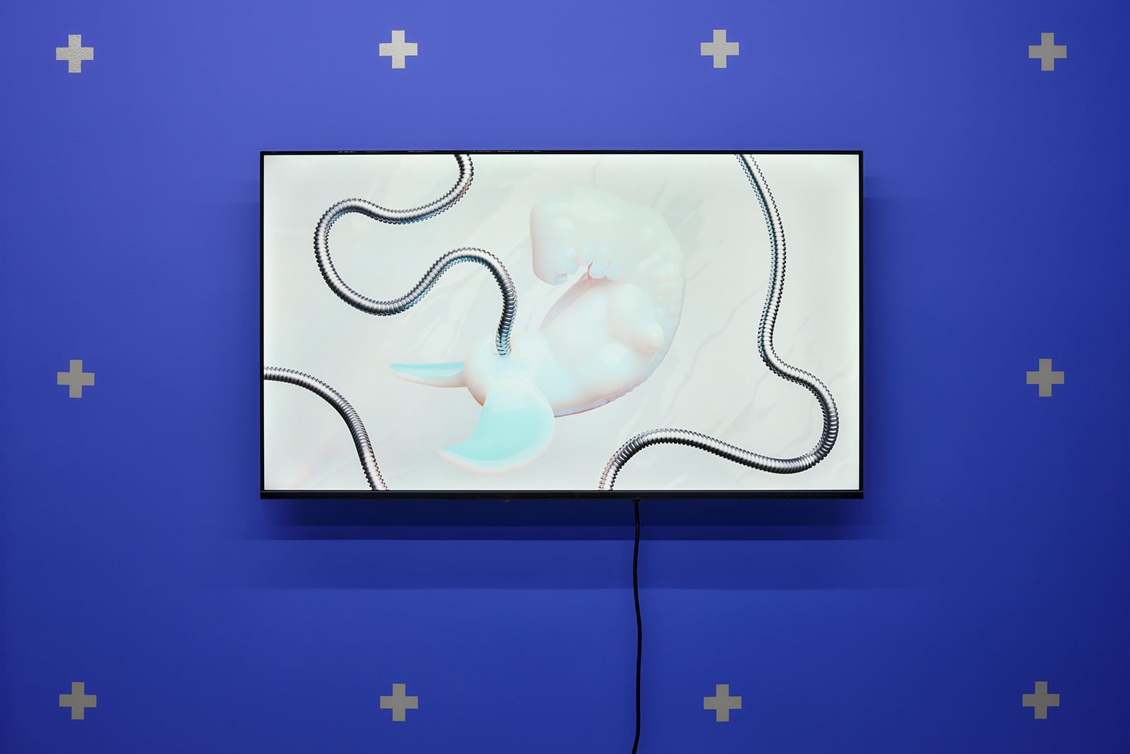 article image; primary-color: #5763AB;