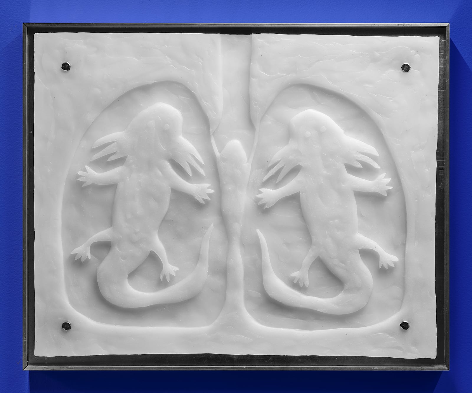 article image; primary-color: #8E93A6;