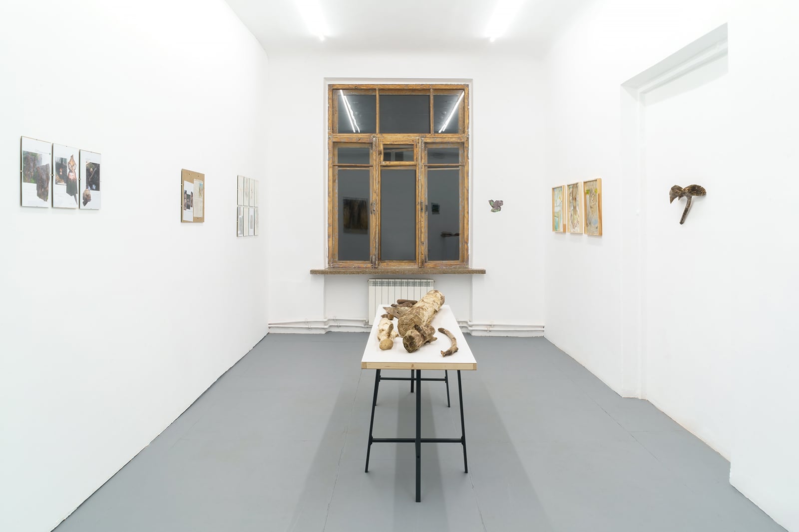 article image; primary-color: #D3D4CF;