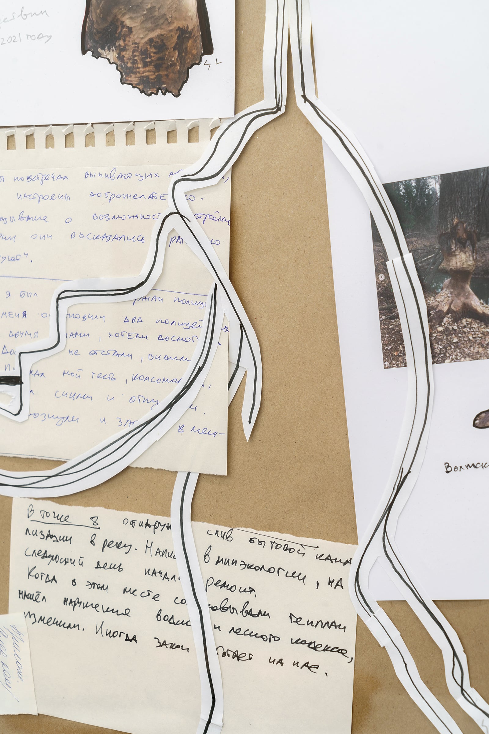 article image; primary-color: #CDC5BA;