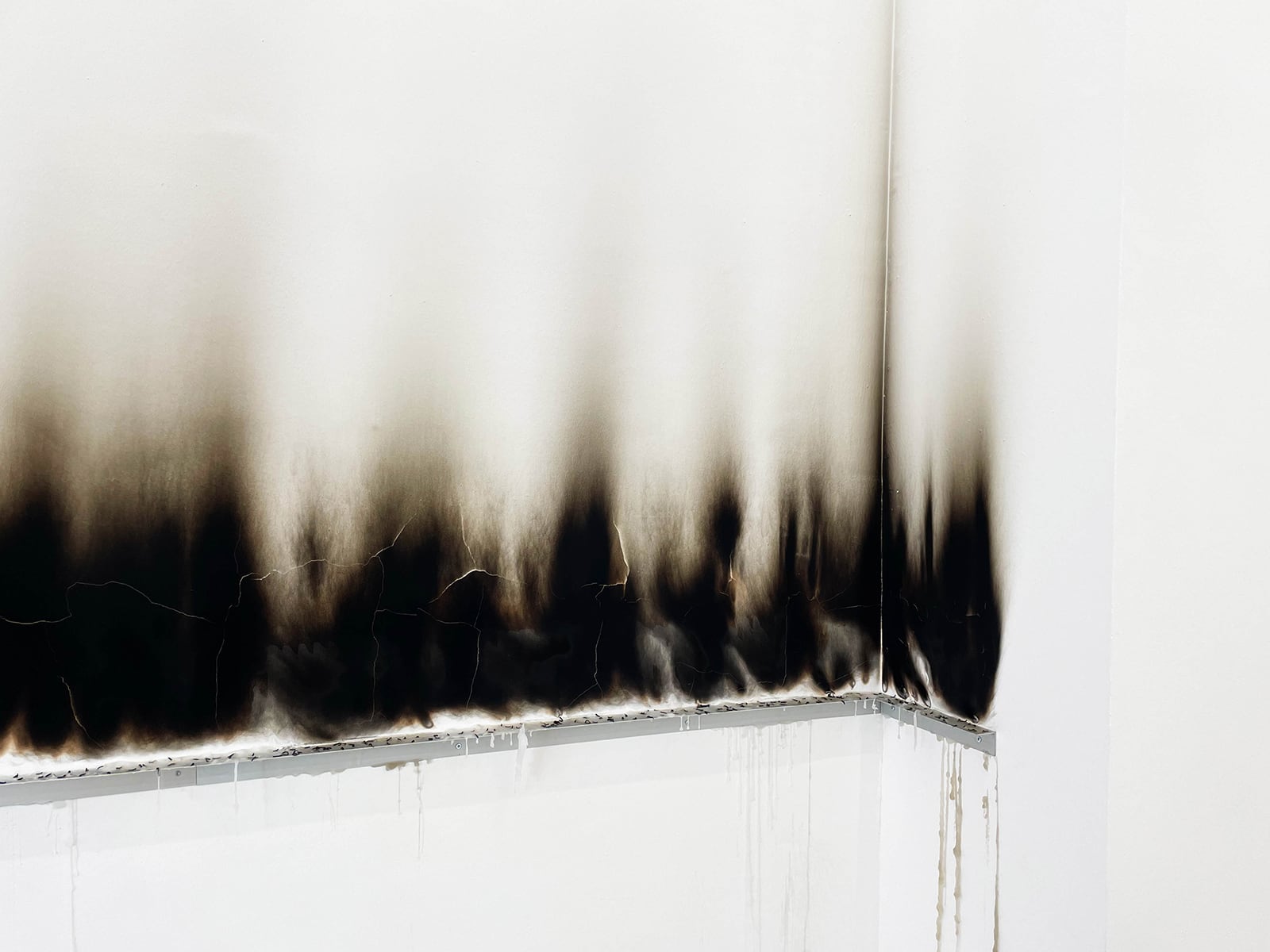 article image; primary-color: #C1BDBA;