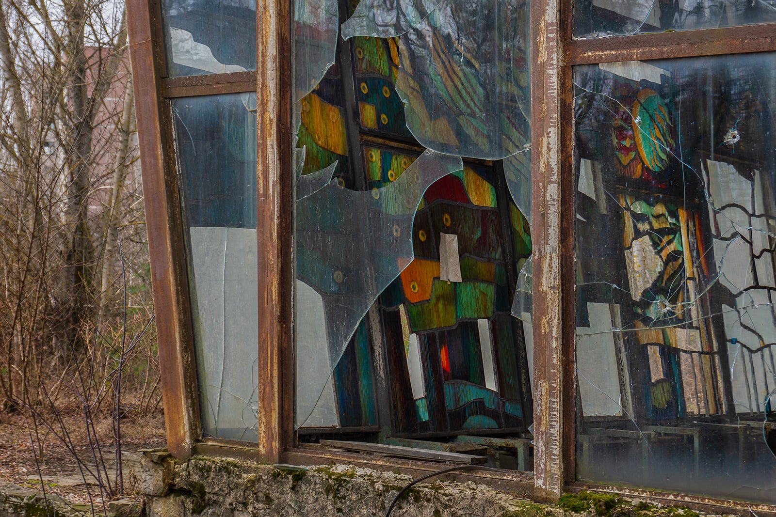 article image; primary-color: #564D46;