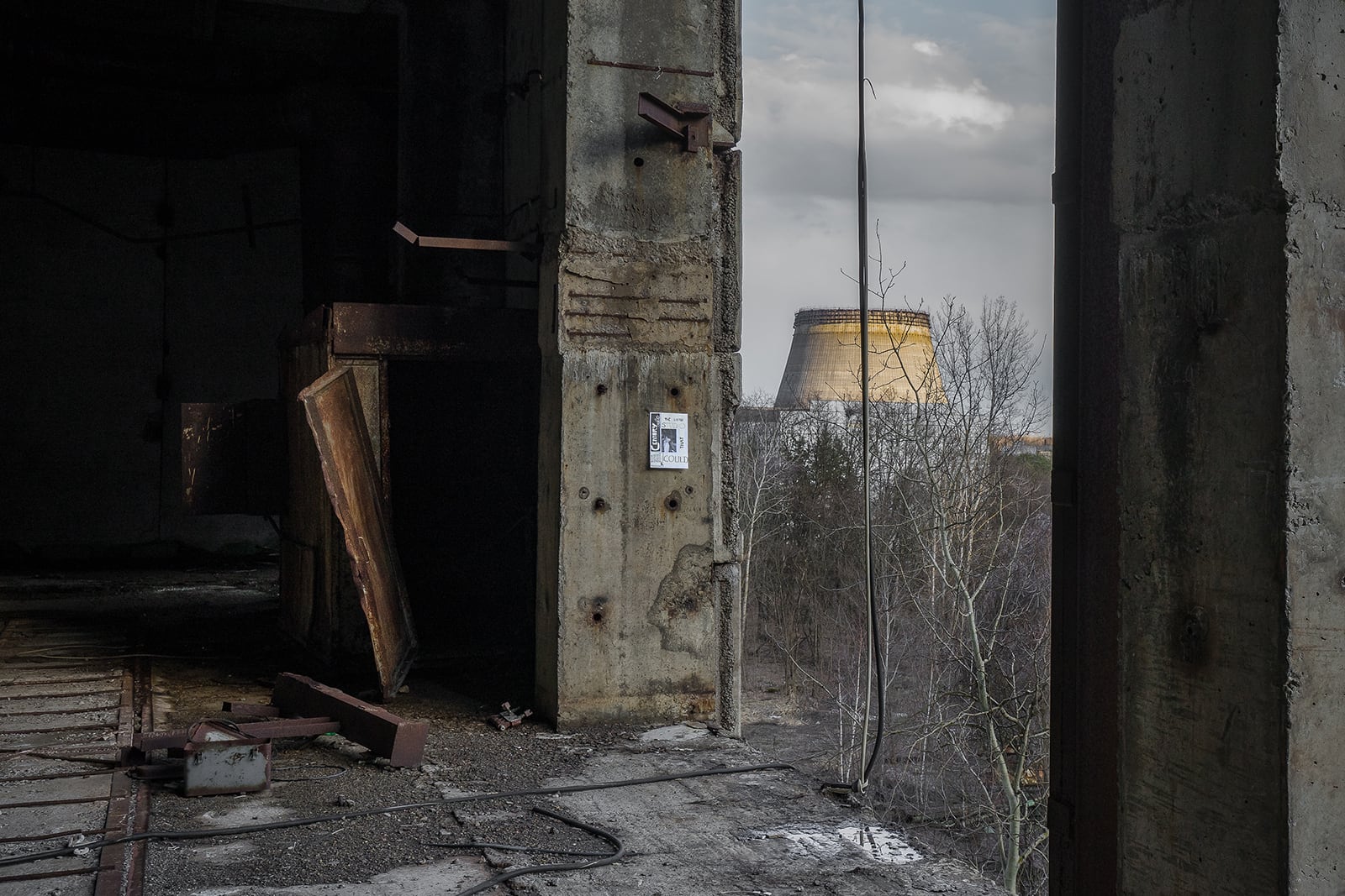 article image; primary-color: #3D3936;