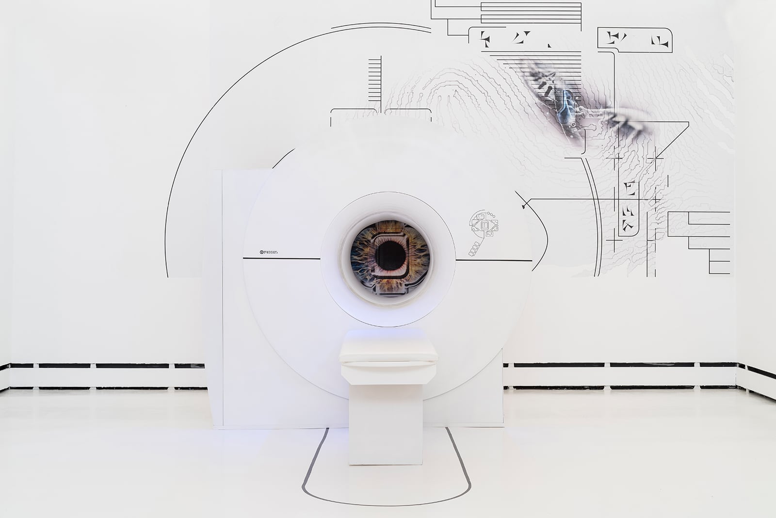 article image; primary-color: #DDDDDD;