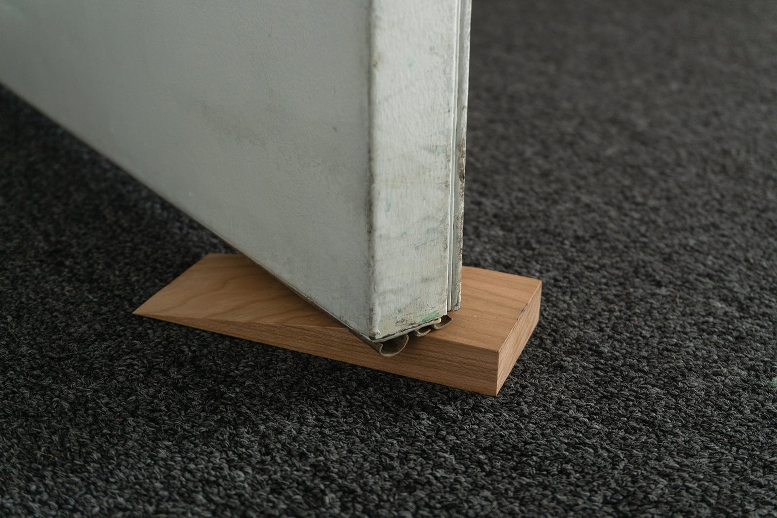 article image; primary-color: #494A42;