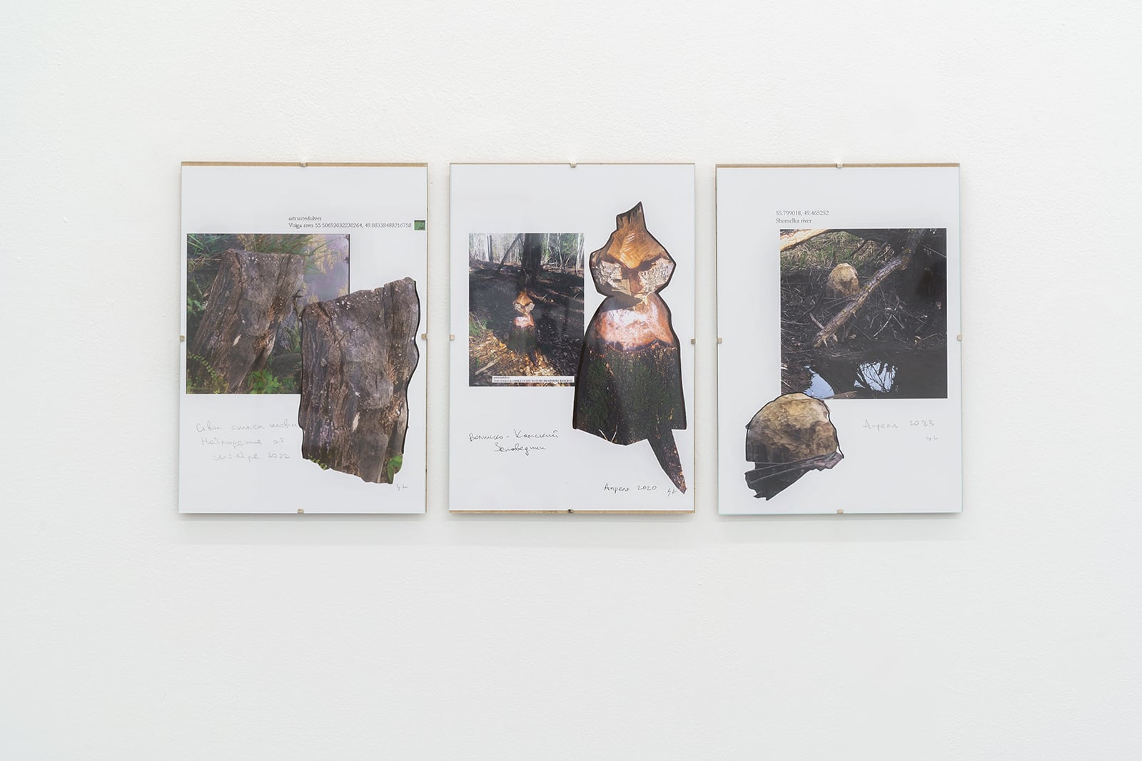 article image; primary-color: #D6D6D6;