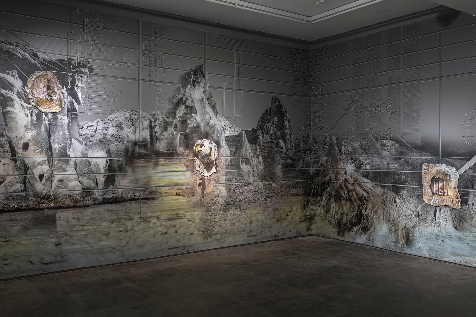 article image; primary-color: #514D4A;