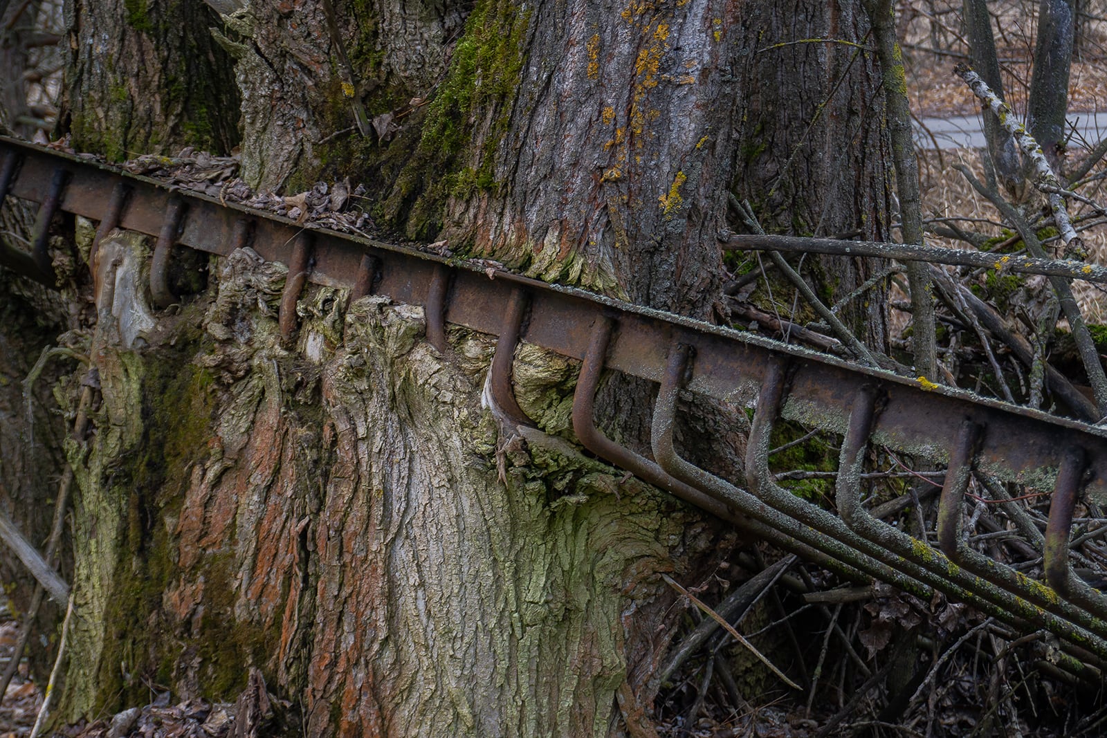 article image; primary-color: #453E36;