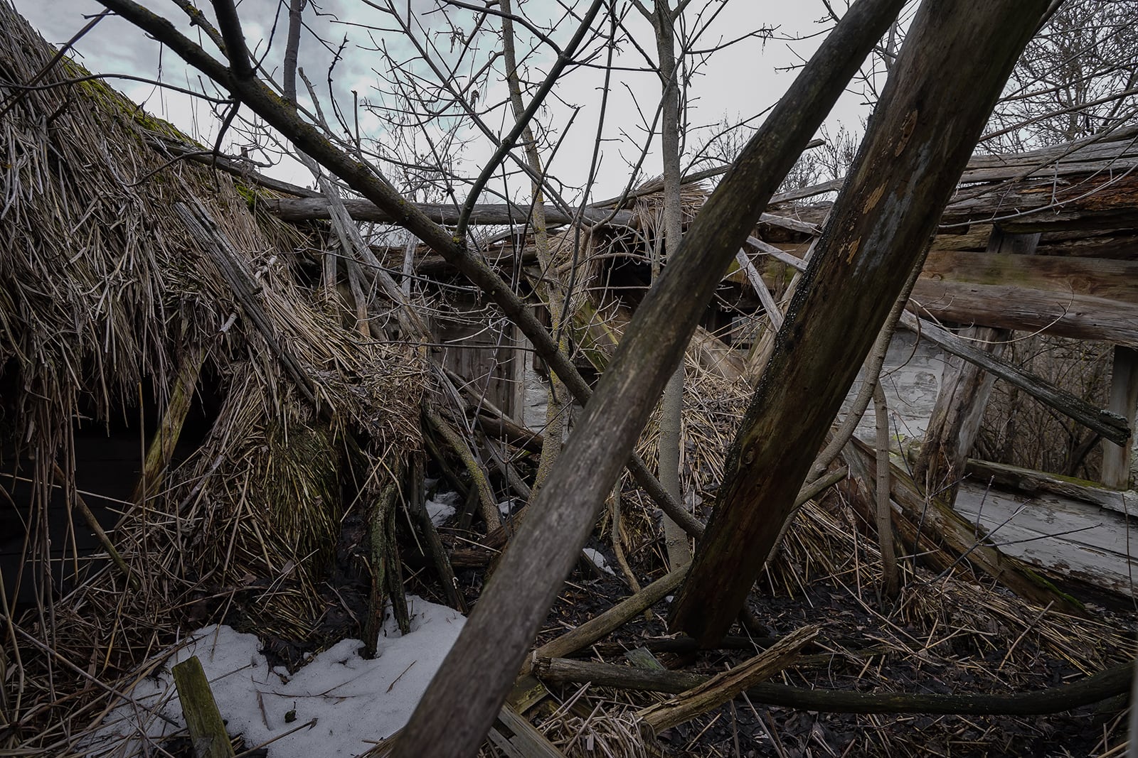 article image; primary-color: #45413E;