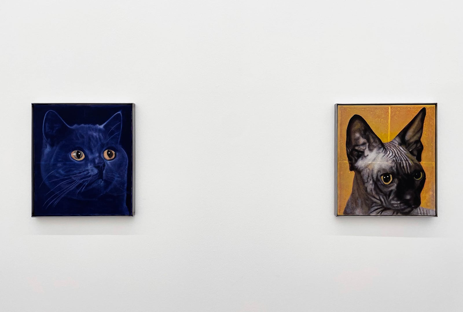 article image; primary-color: #CCC8C9;