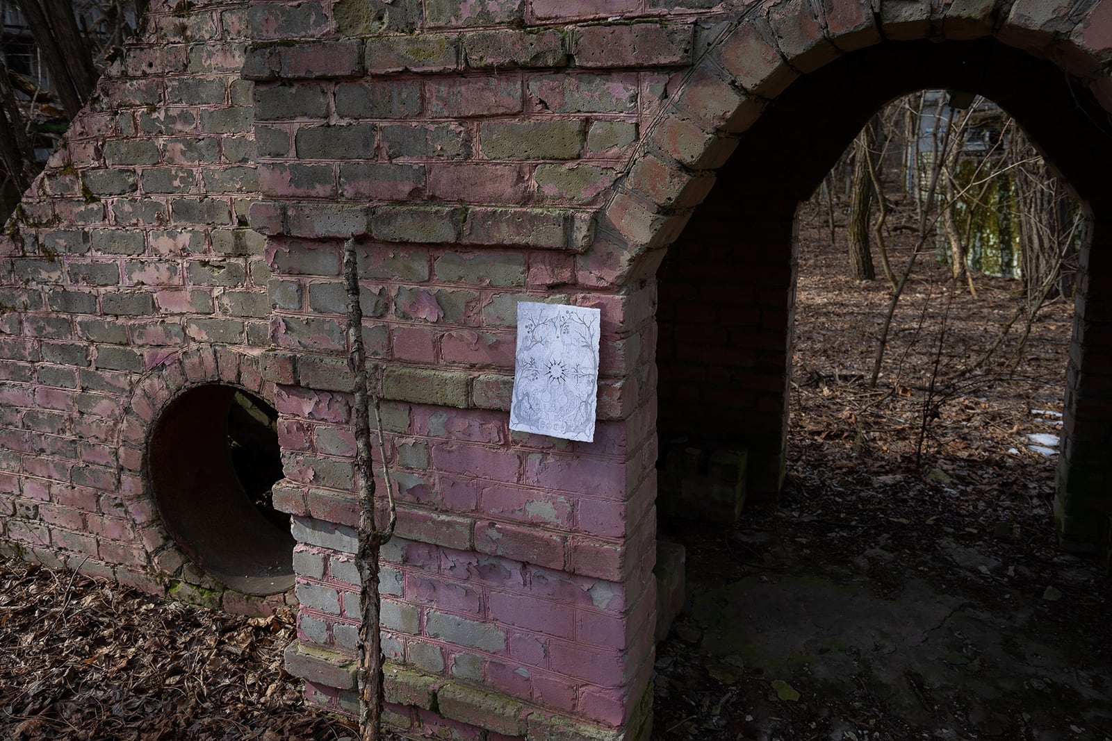 article image; primary-color: #3F3631;