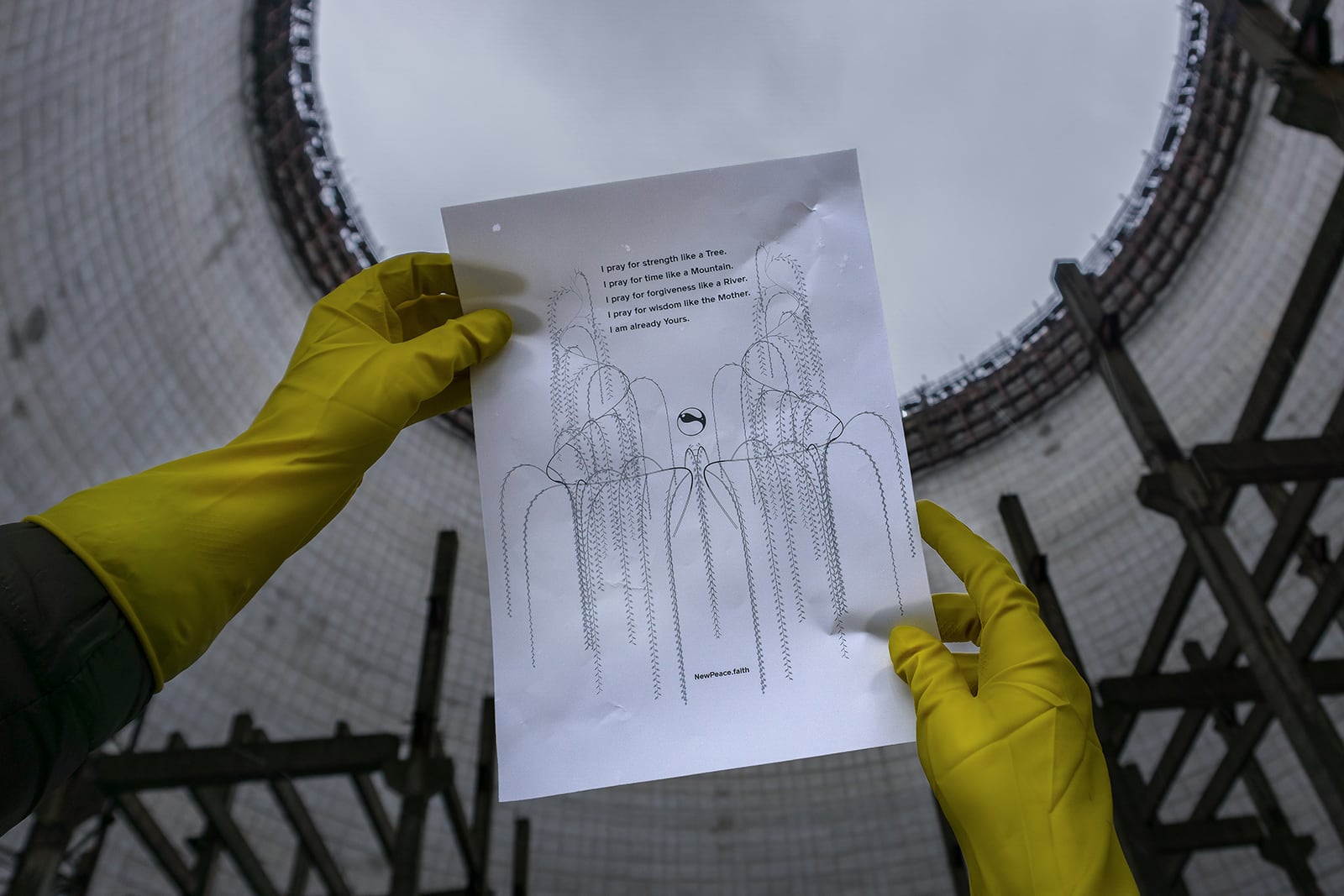 article image; primary-color: #696D6C;