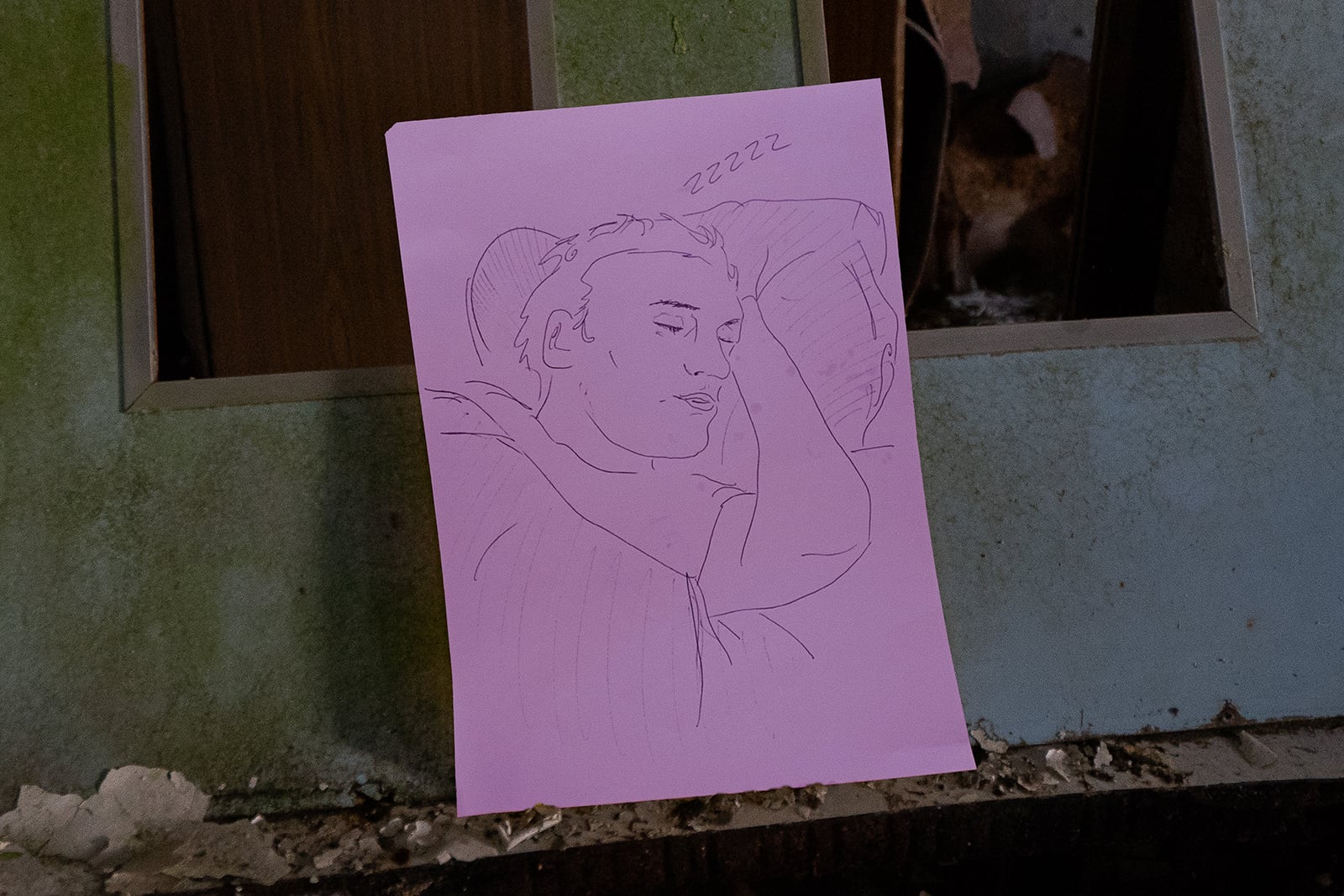 article image; primary-color: #50454D;