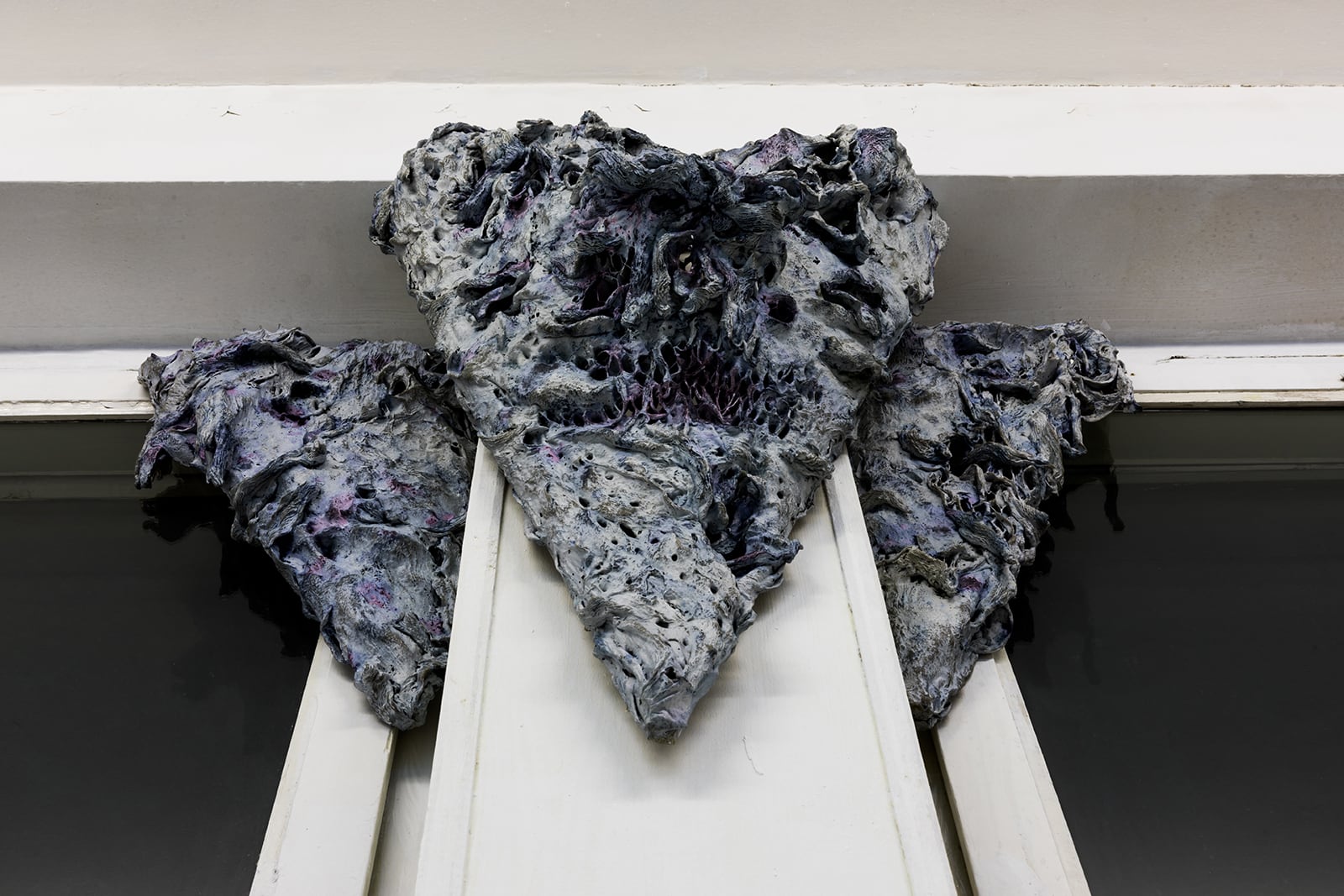 article image; primary-color: #7B7B7B;