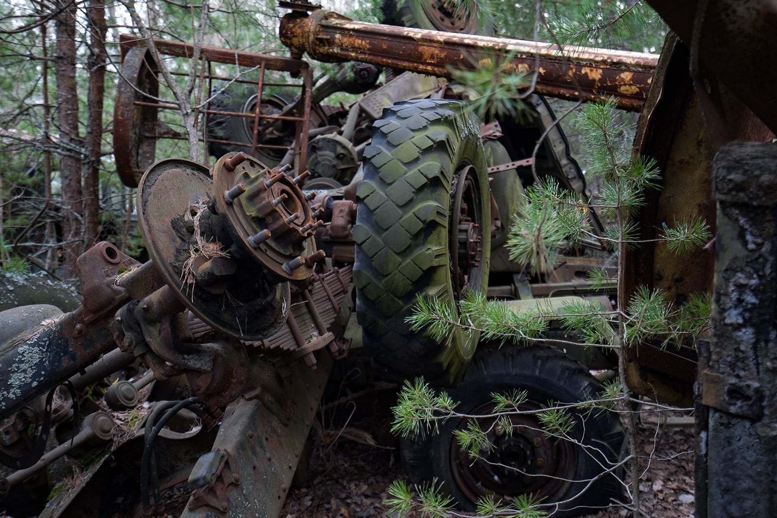 article image; primary-color: #3B3734;