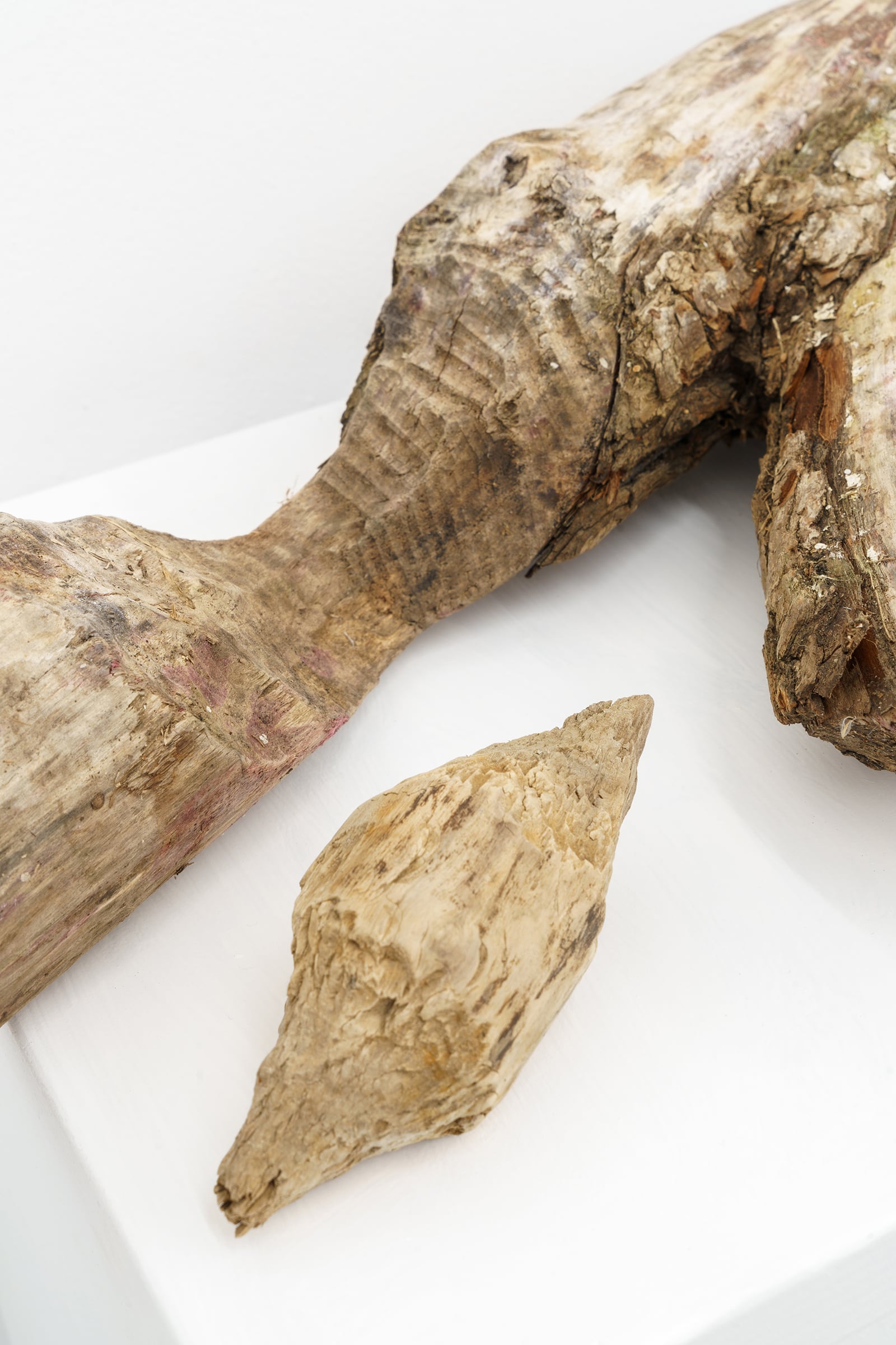 article image; primary-color: #CEC2B4;