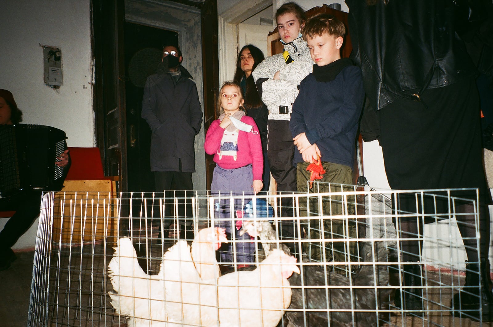 article image; primary-color: #5D564E;