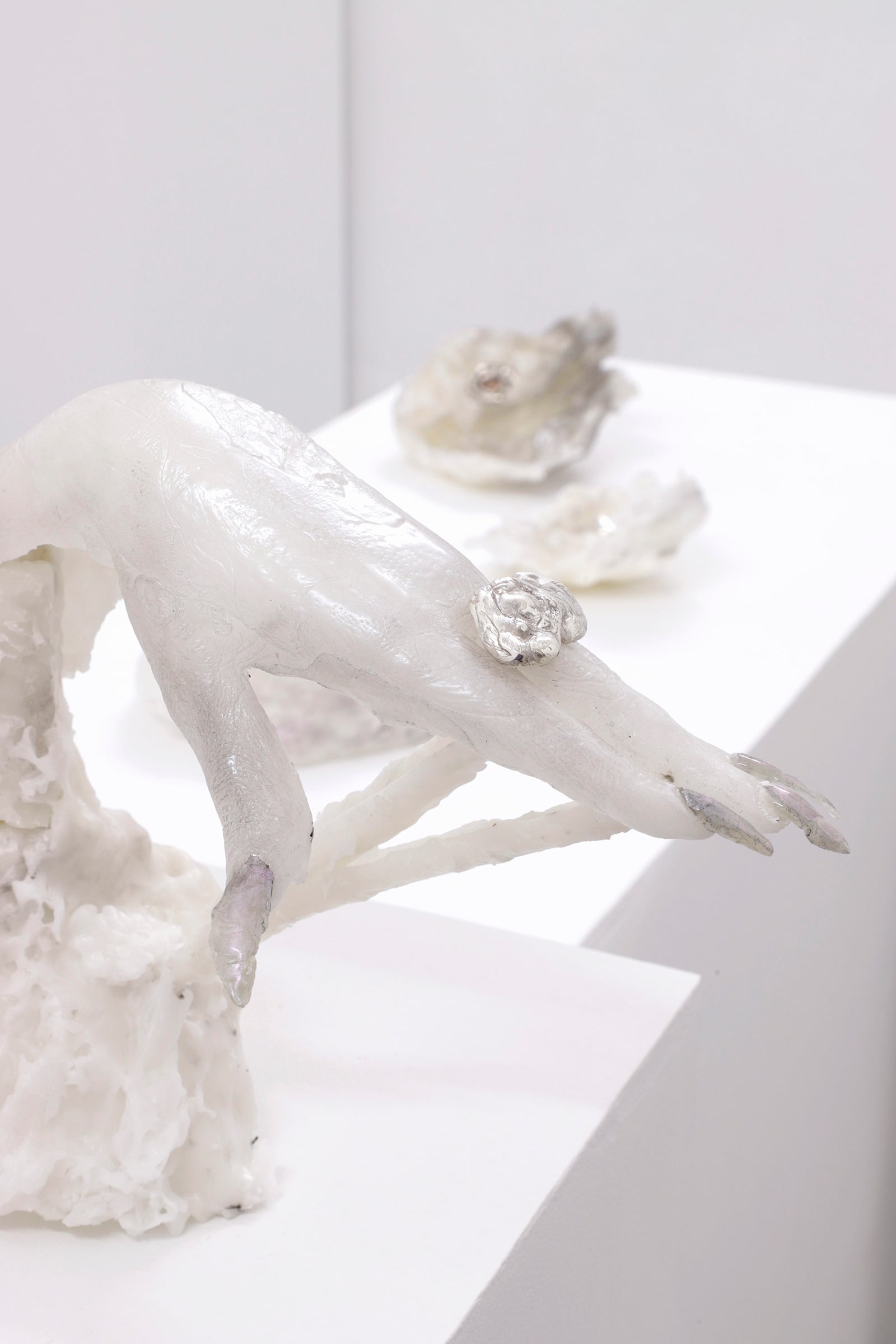 article image; primary-color: #DCD8D9;