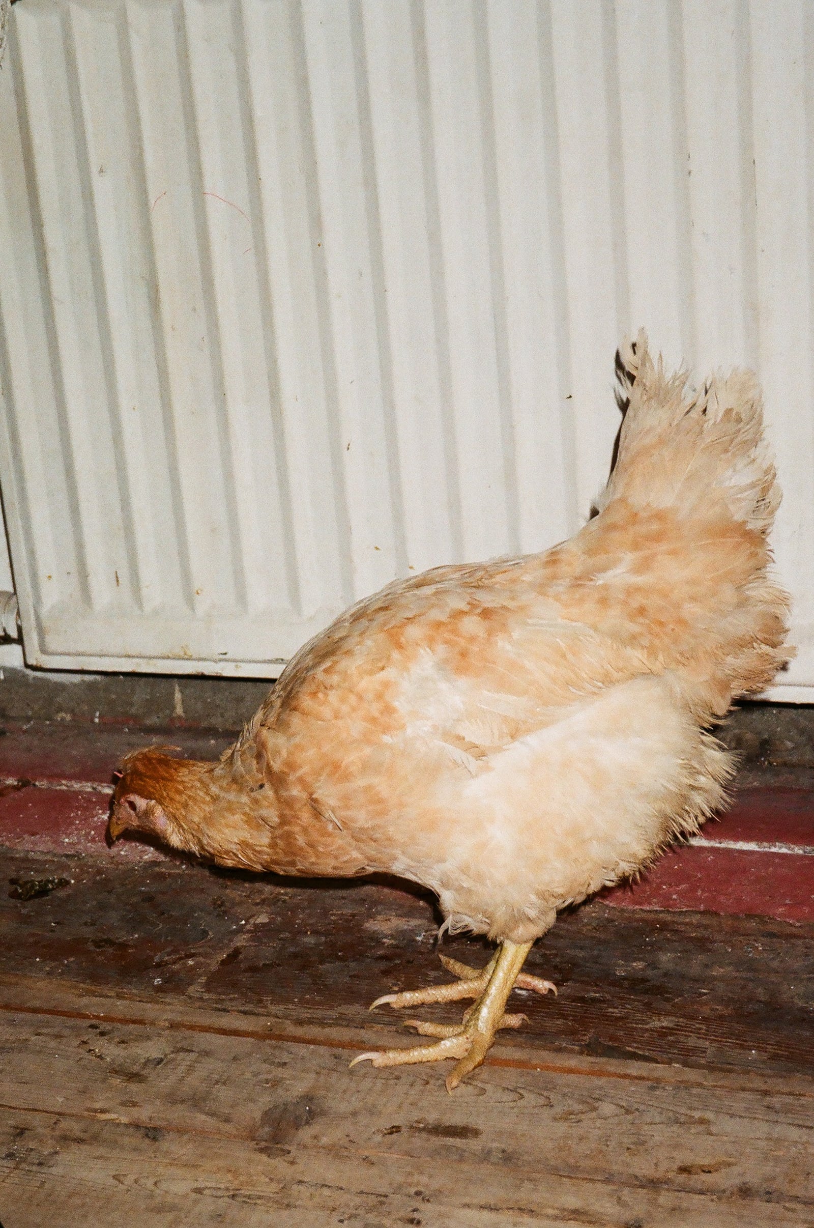 article image; primary-color: #A89785;