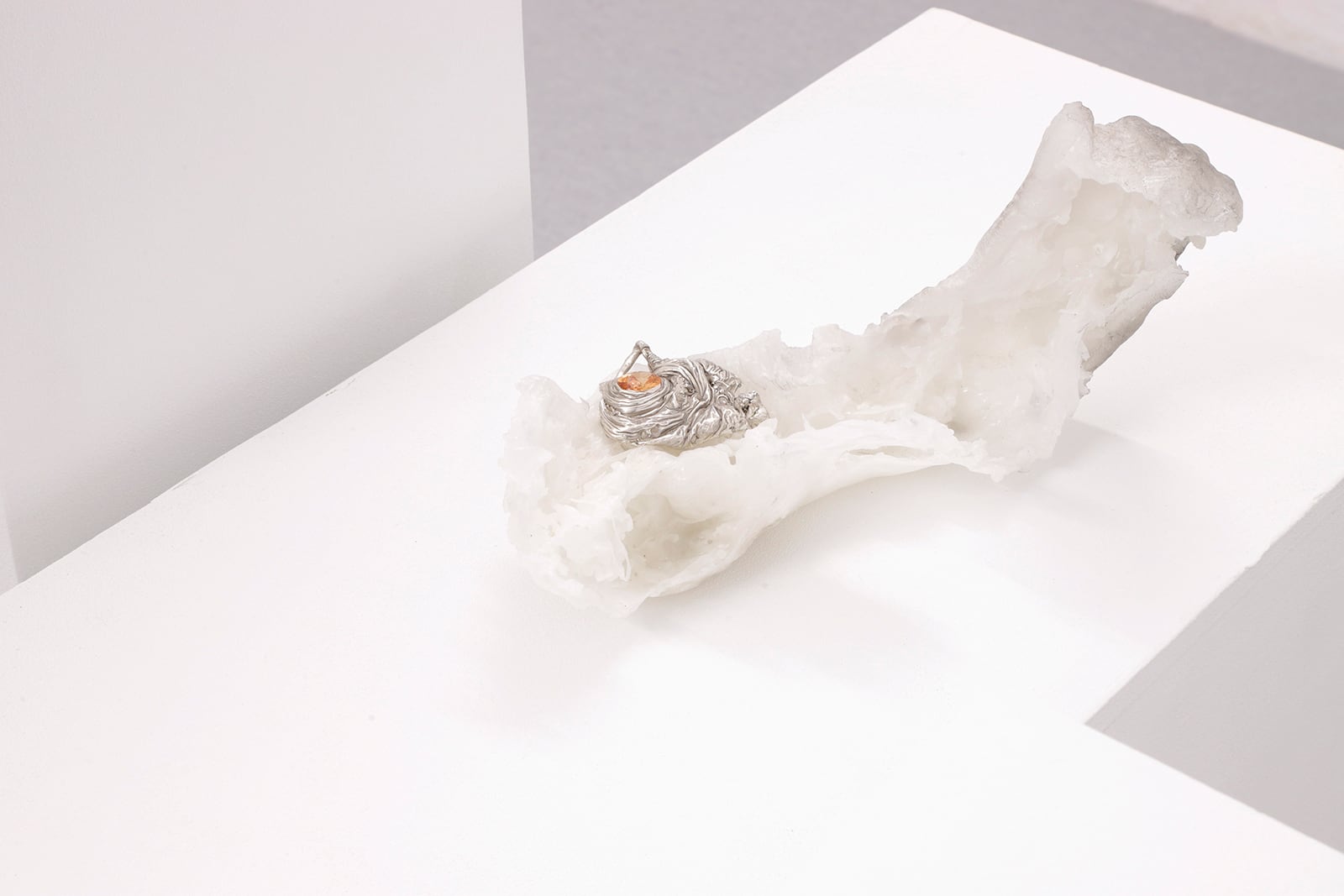 article image; primary-color: #E9E5E2;