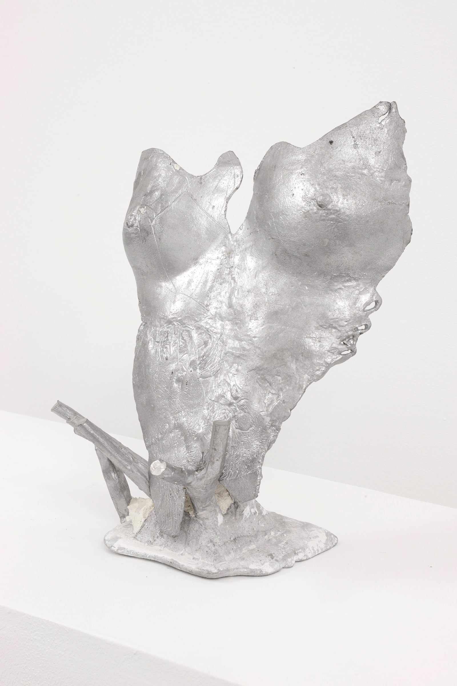 article image; primary-color: #E1DDDA;