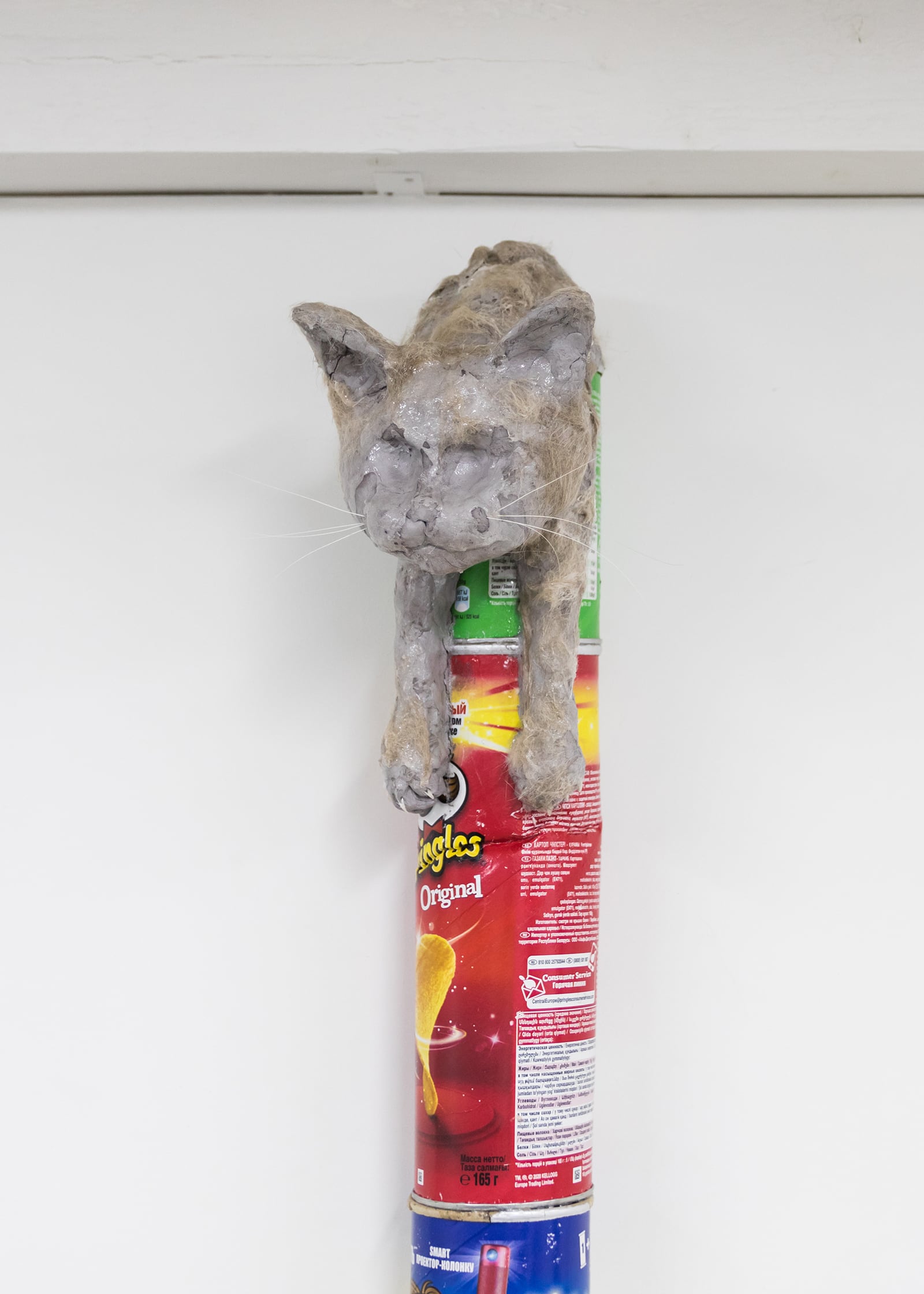 article image; primary-color: #D6CECC;